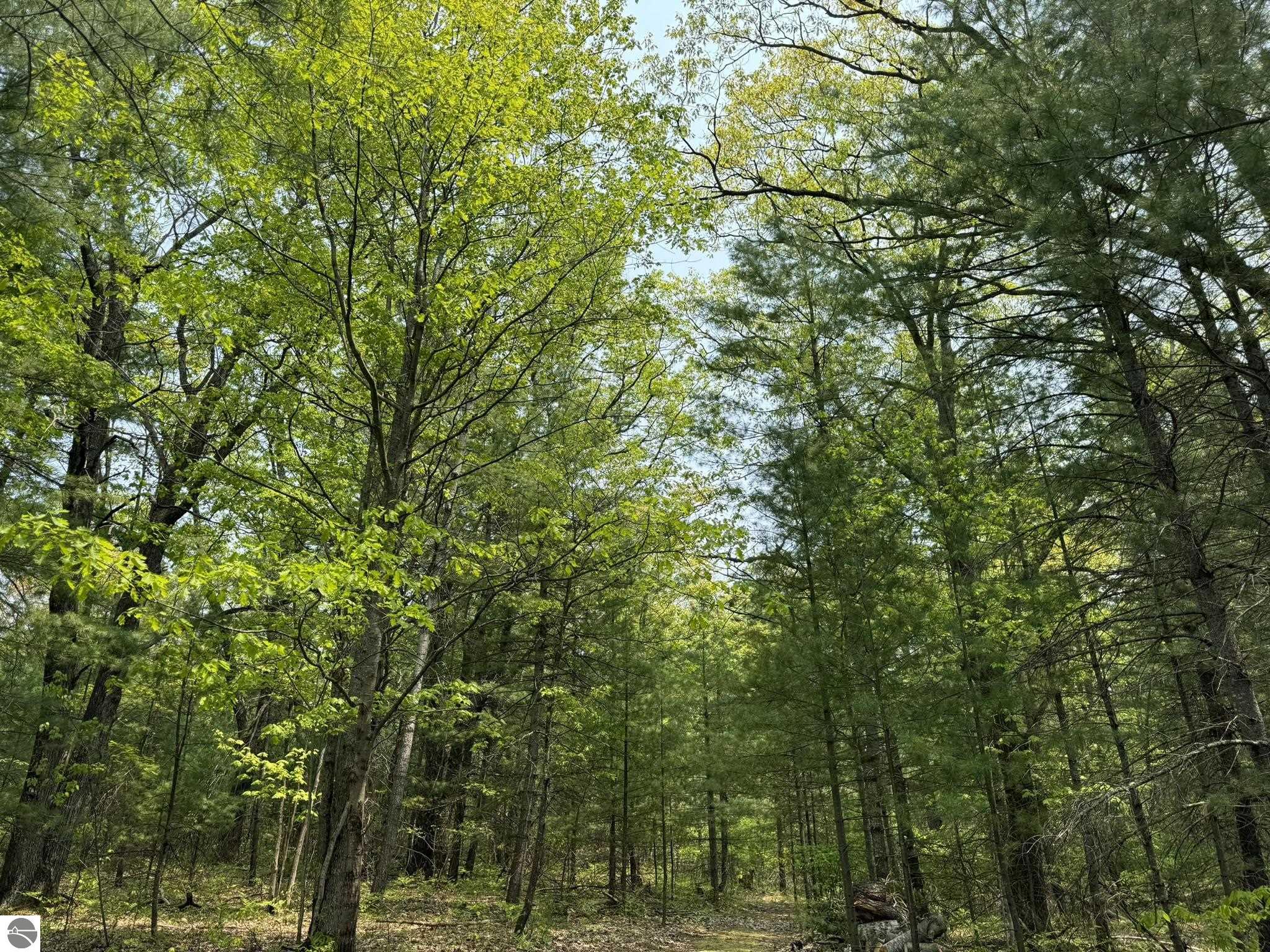 11748 NE Franklin Street