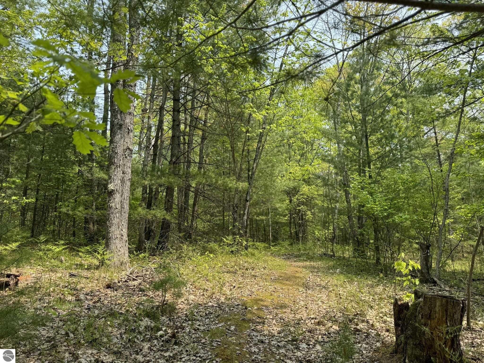 11748 NE Franklin Street