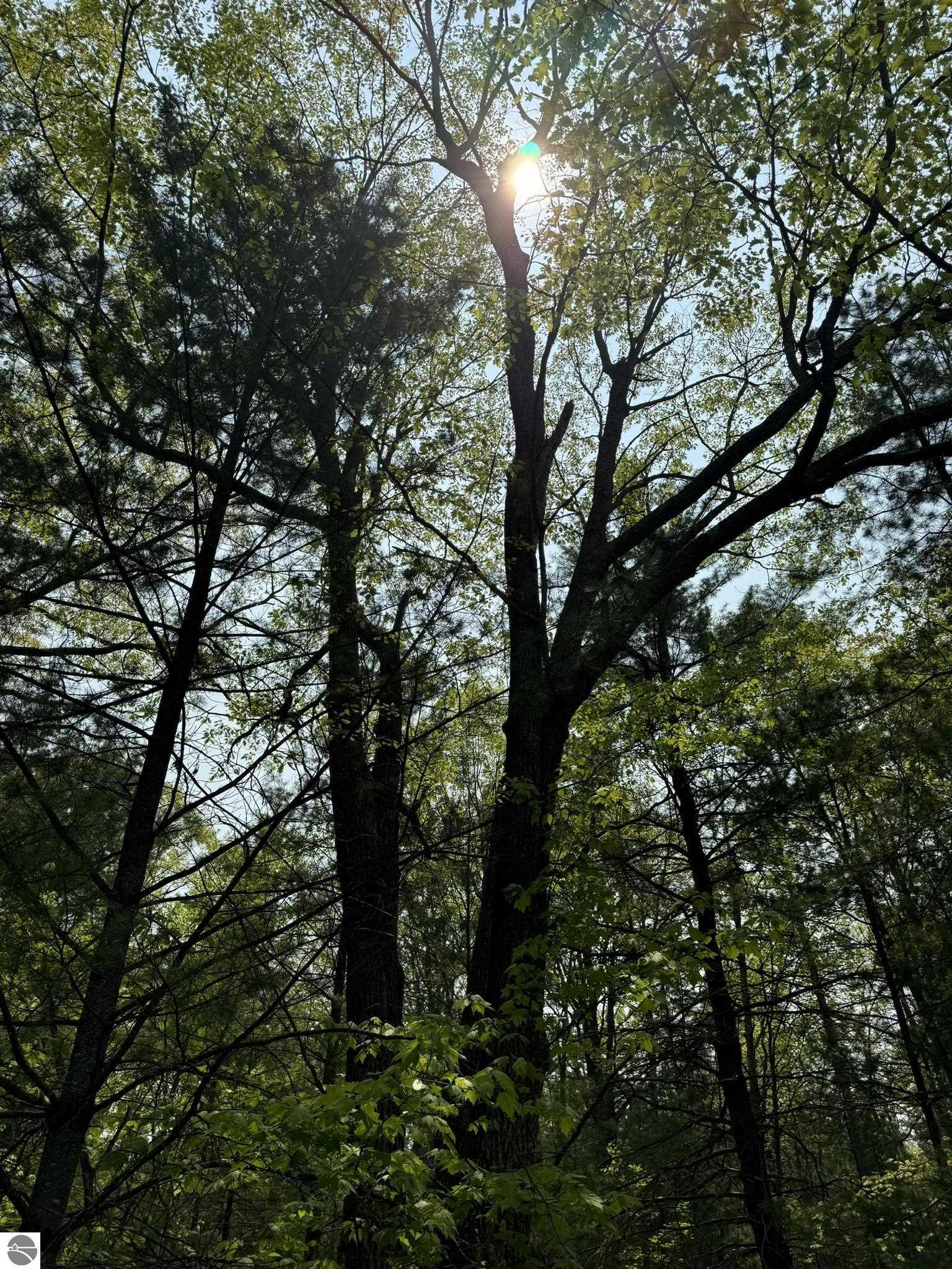 11748 NE Franklin Street