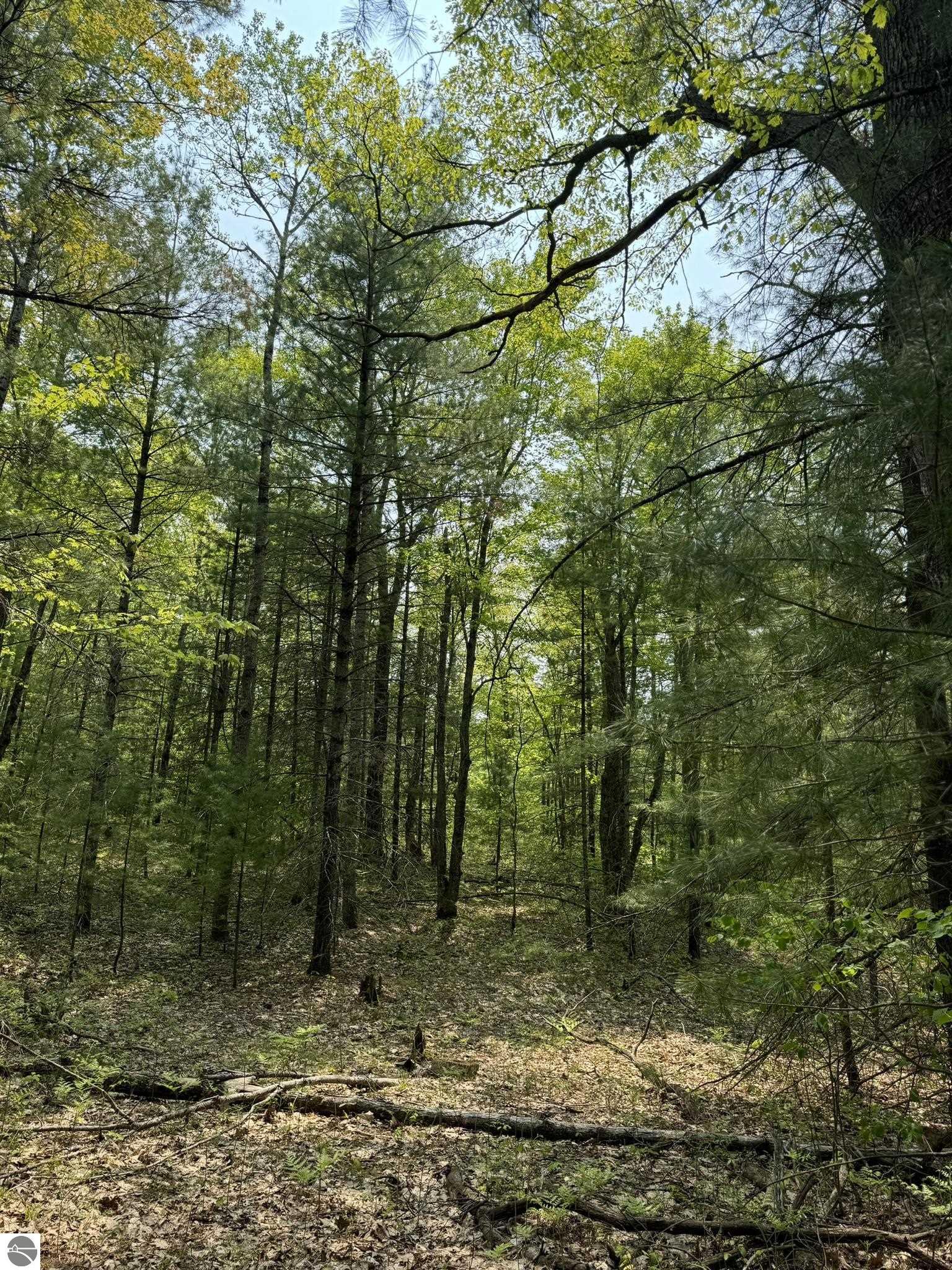 11748 NE Franklin Street