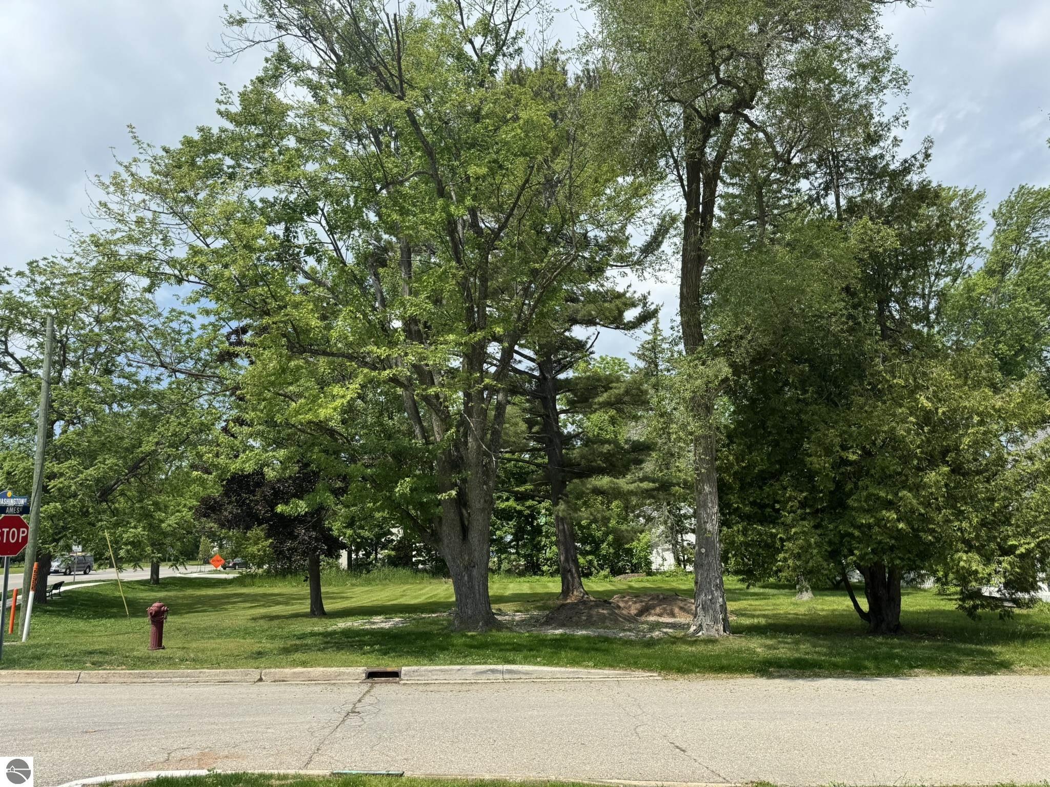 Ames Street
