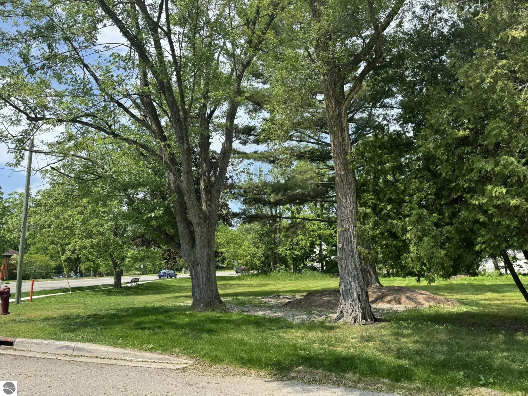 Ames Street