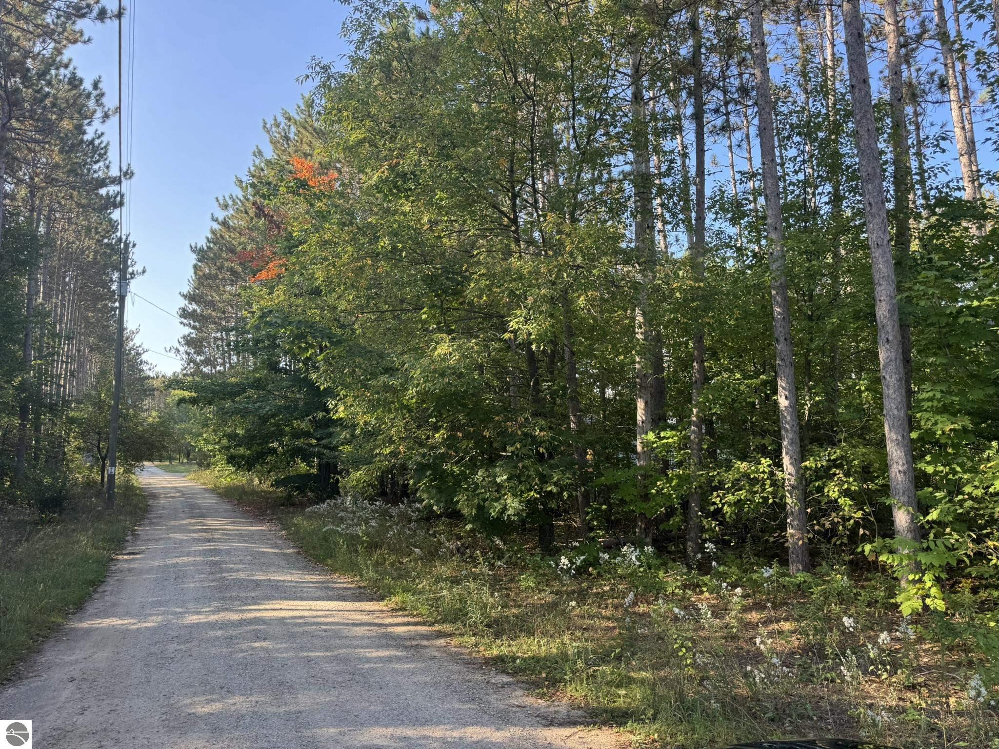 5609 Pine Aire