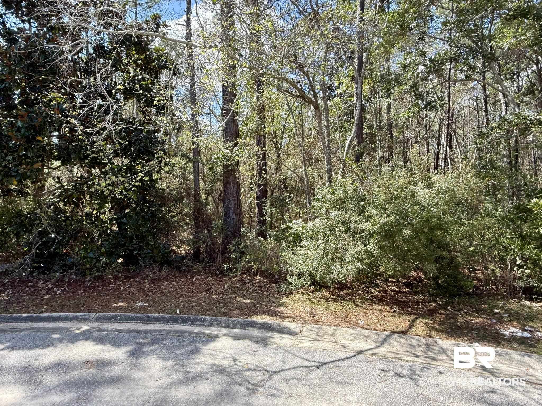 0 Heron Cove Lane