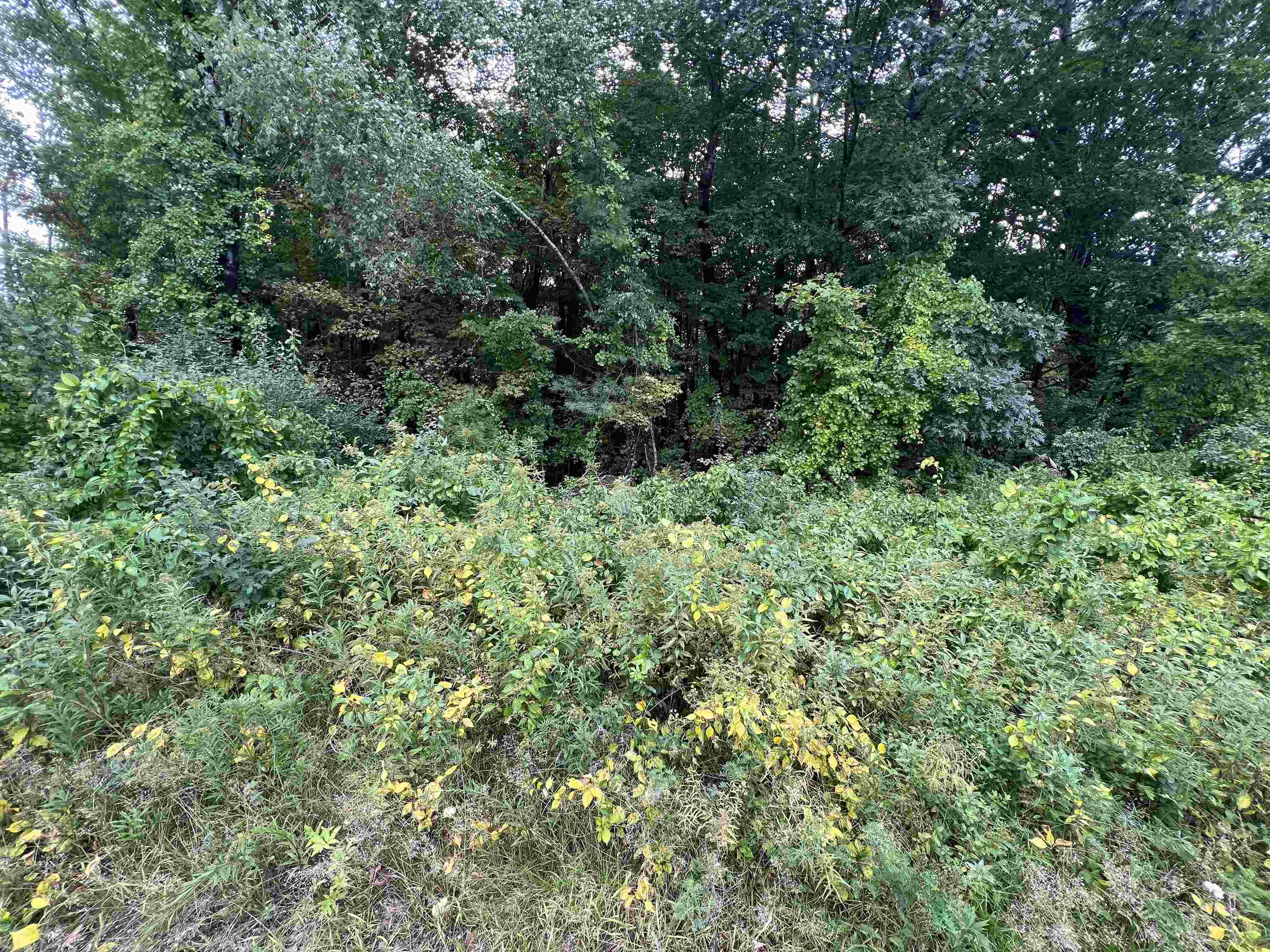 49 Eaton Avenue