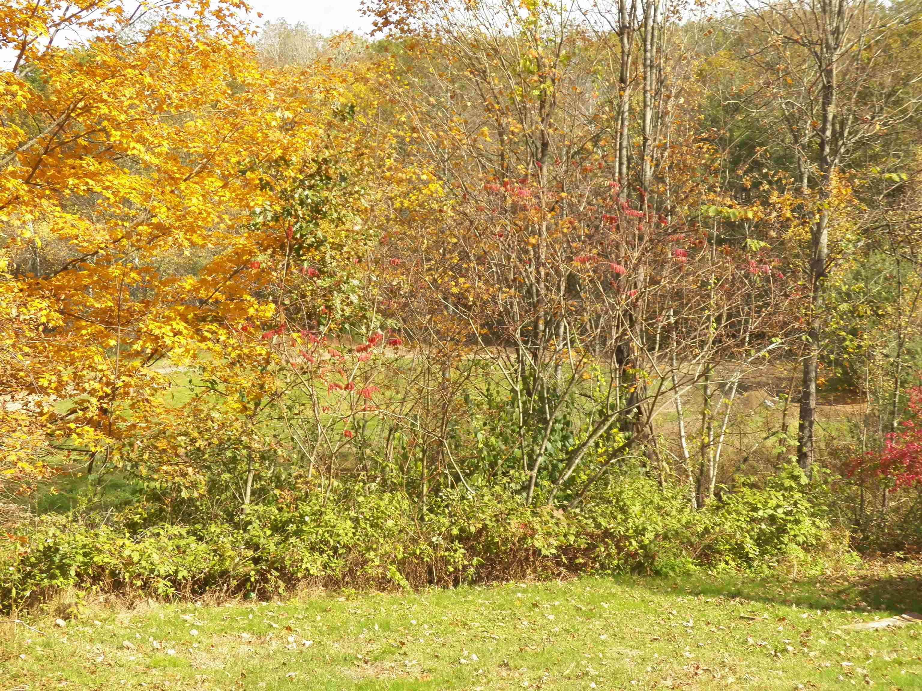 292 Richmond Road