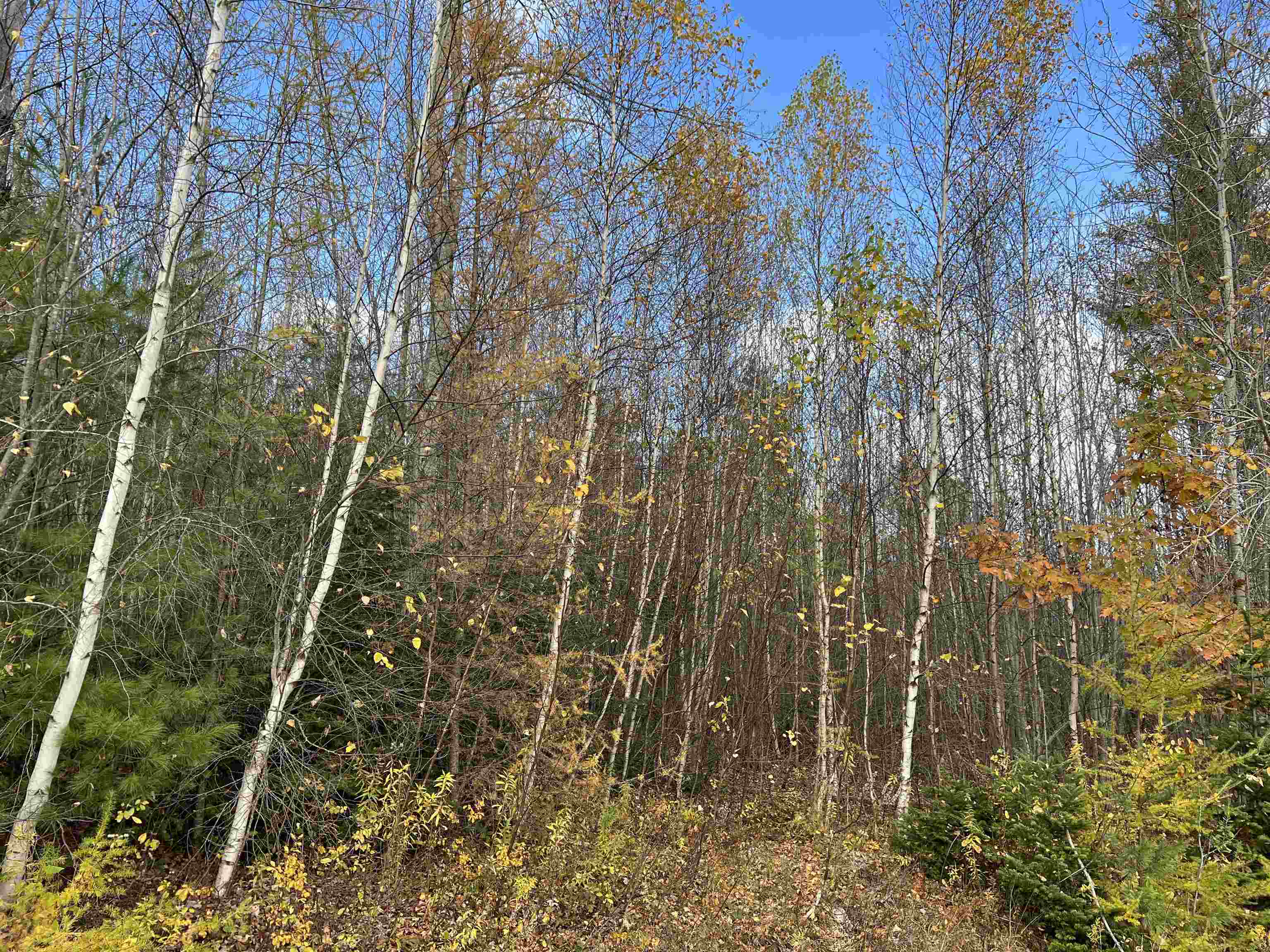 50-187-00 Pettengill Road