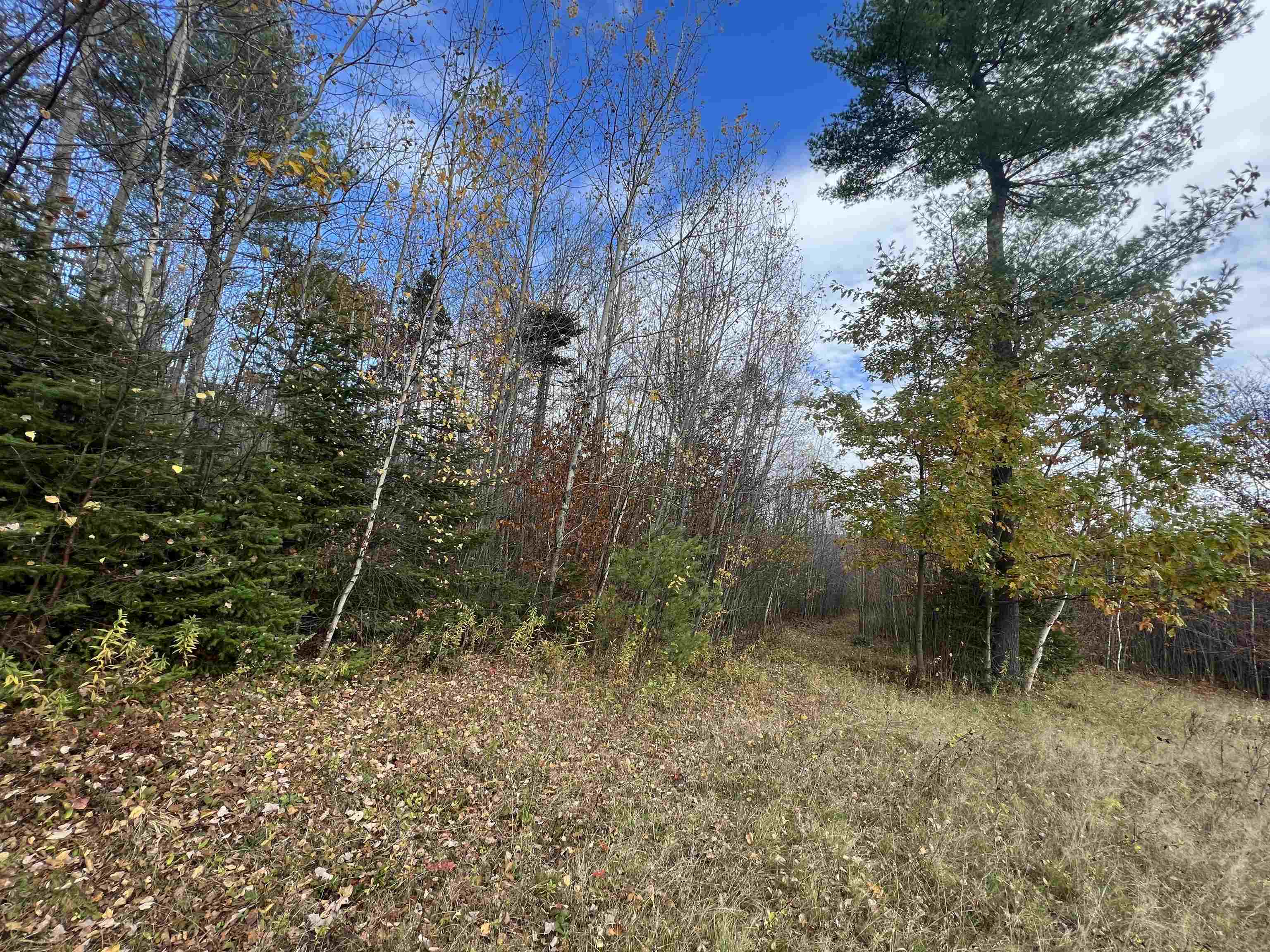 50-187-00 Pettengill Road