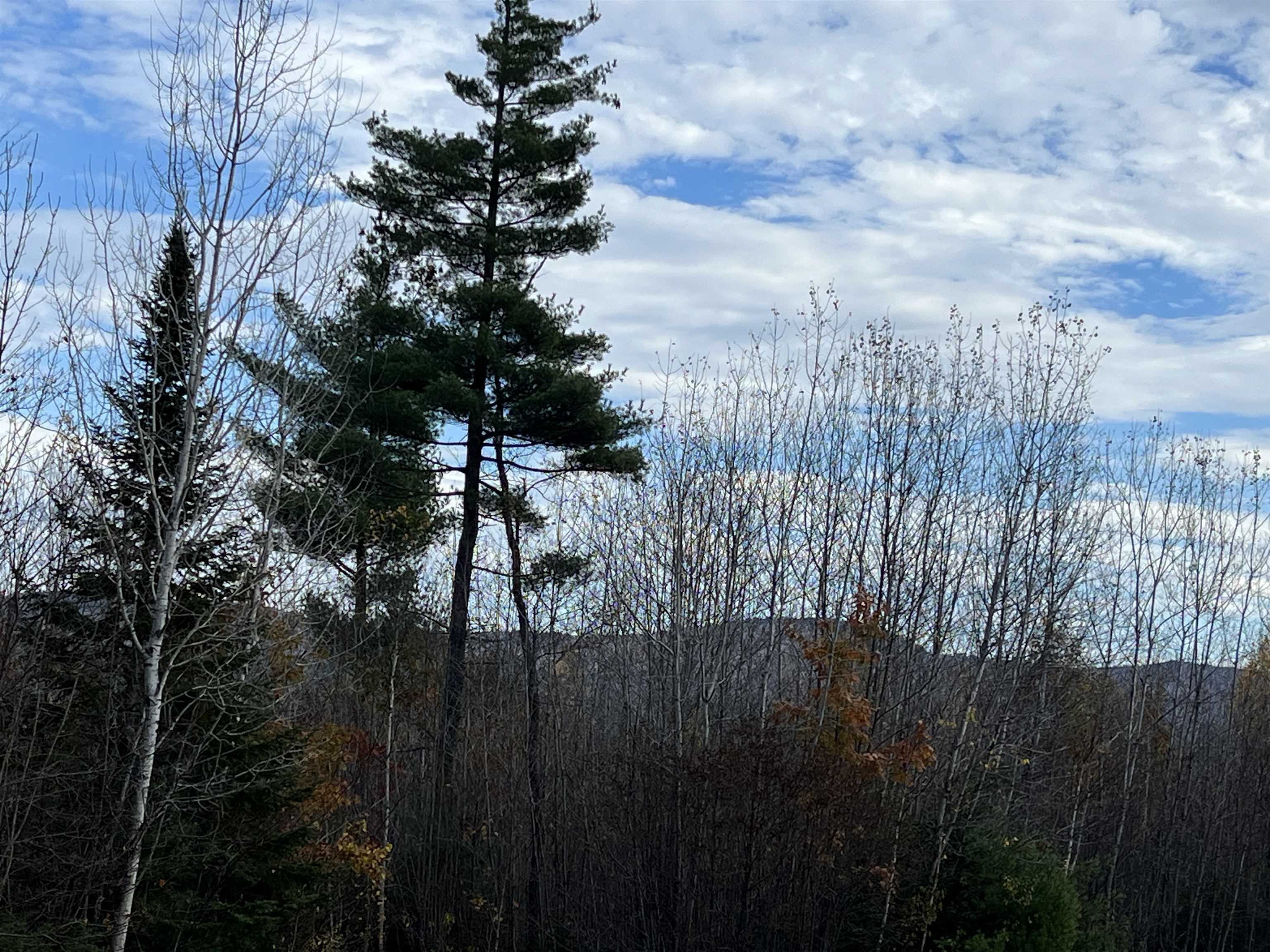 50-187-00 Pettengill Road