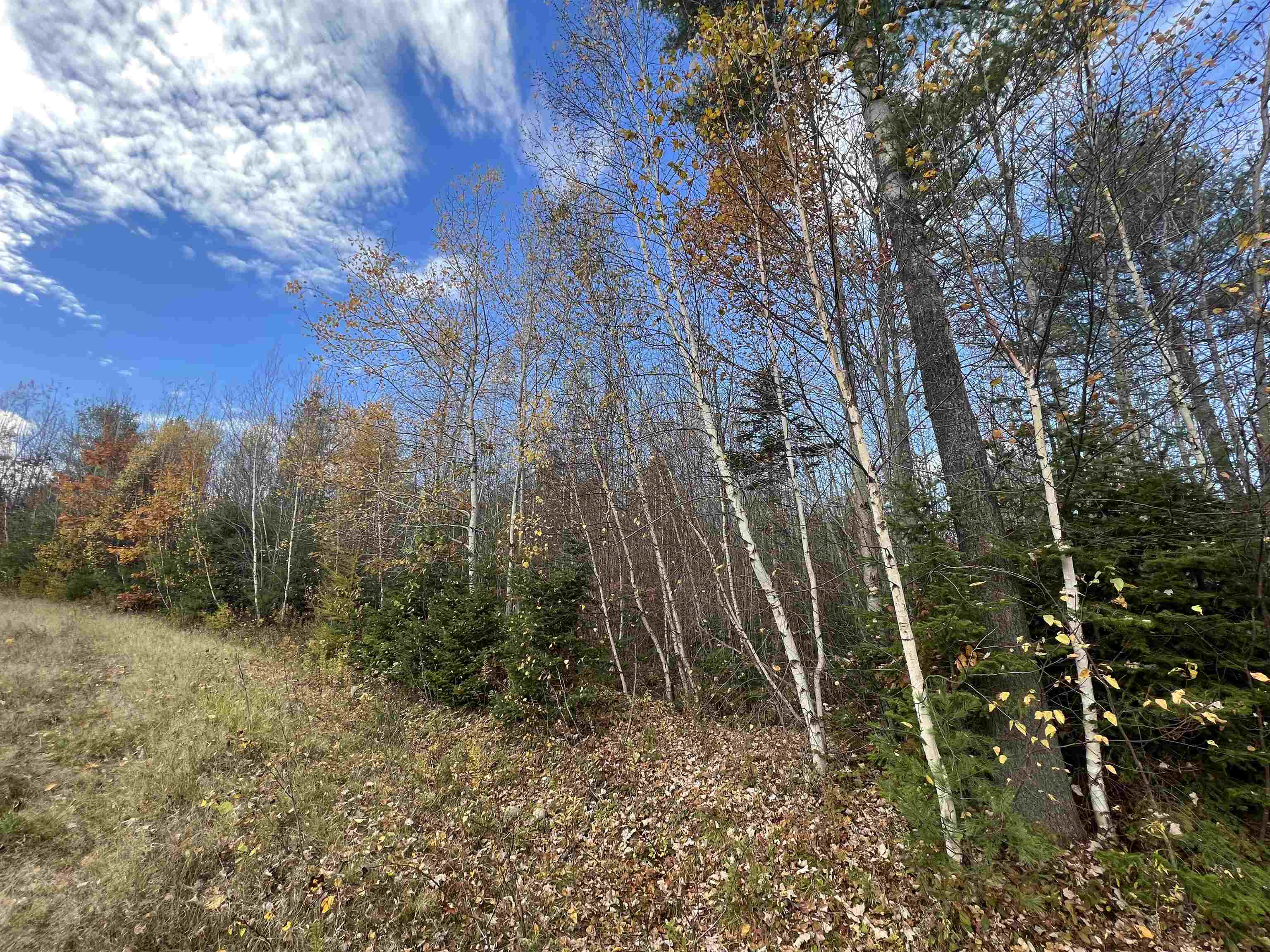 50-187-00 Pettengill Road