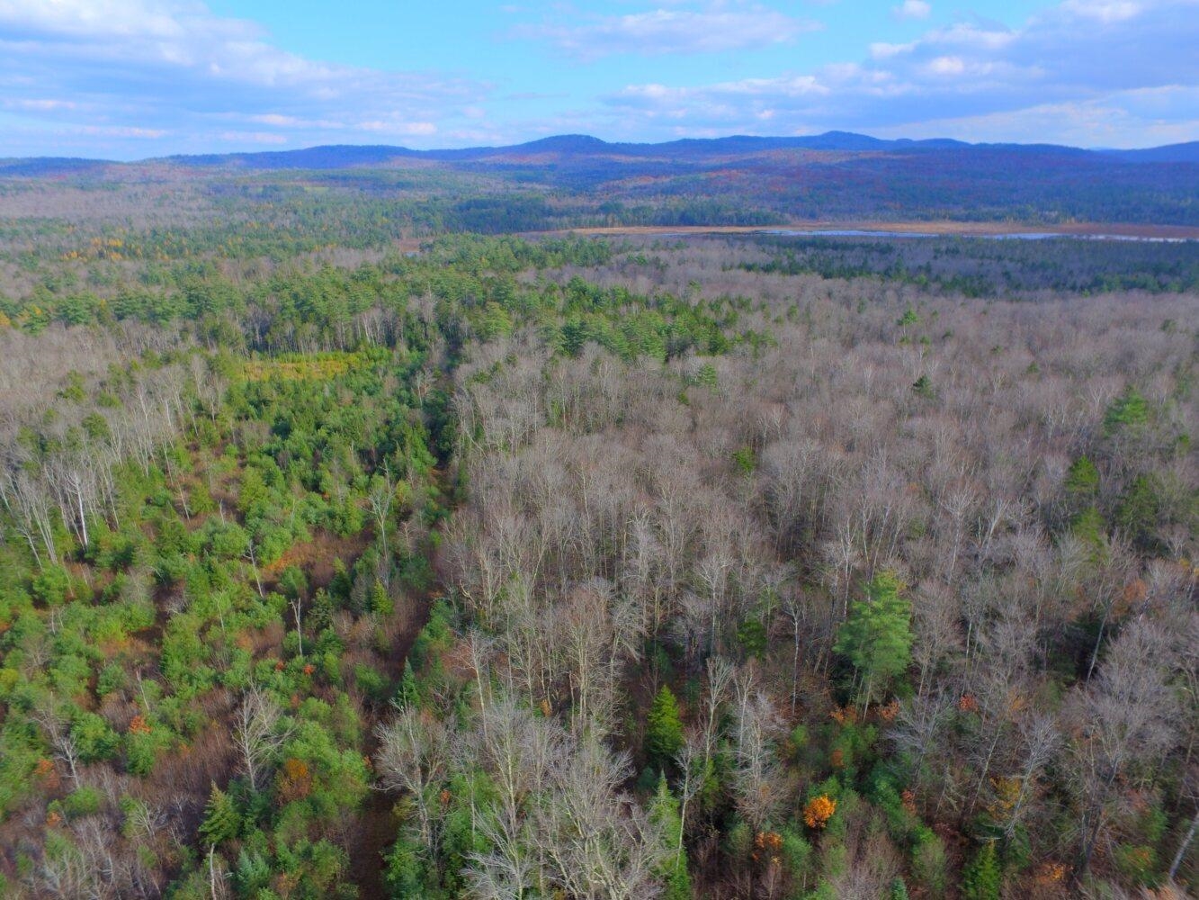 50-187-00 Pettengill Road