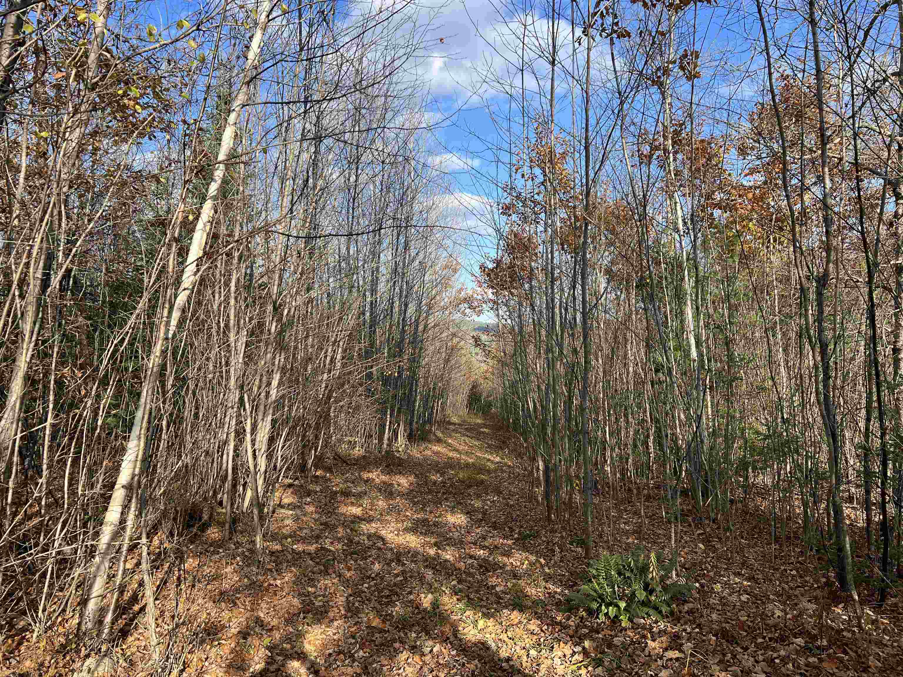 50-187-00 Pettengill Road