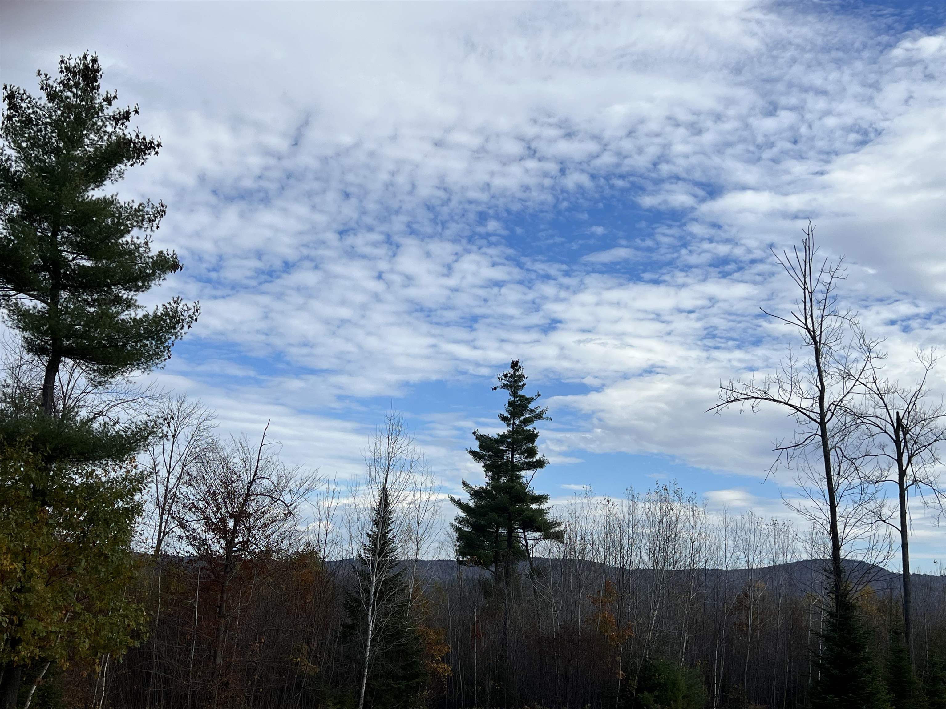 50-187-00 Pettengill Road