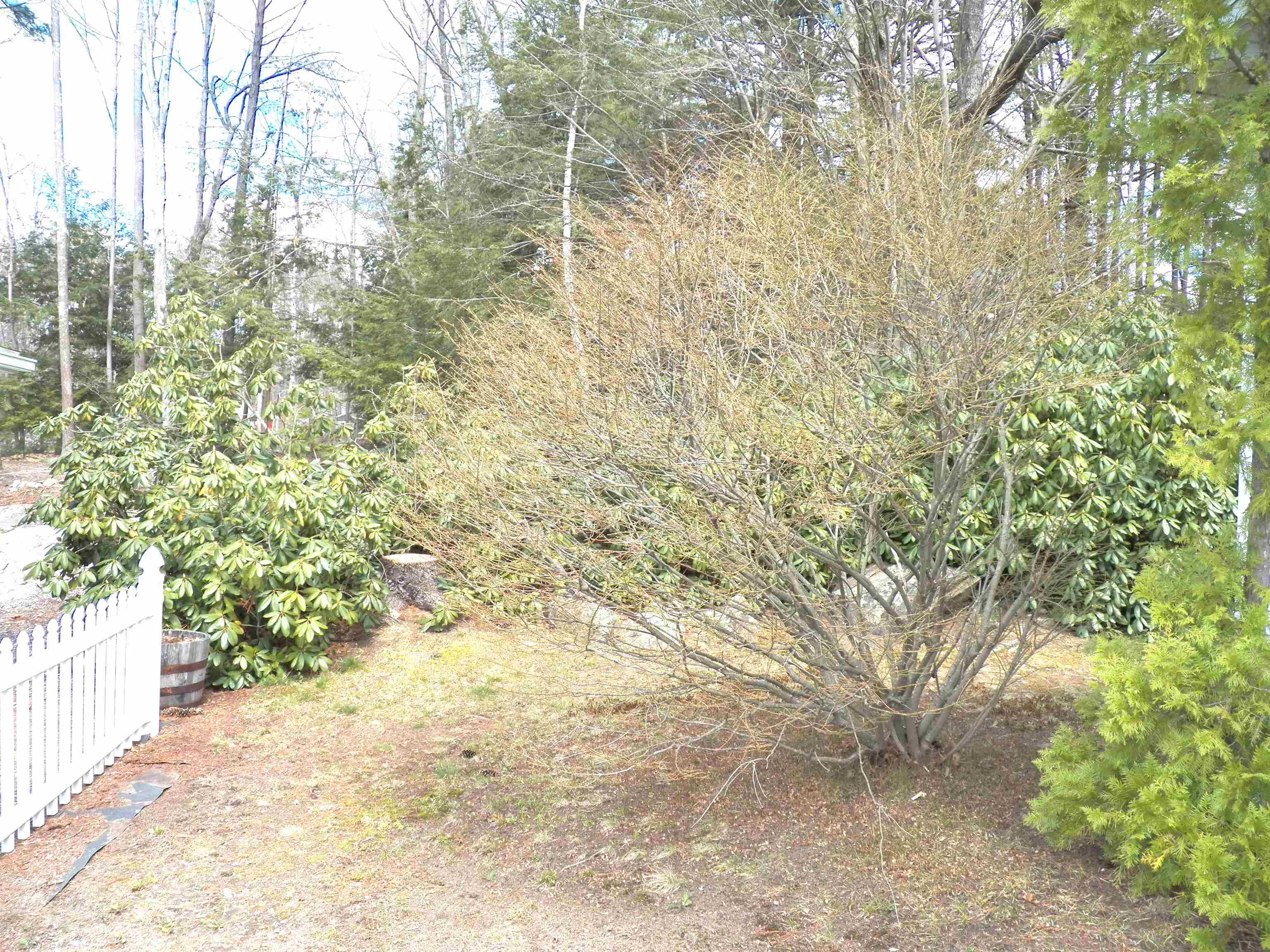 258 Donald Drive