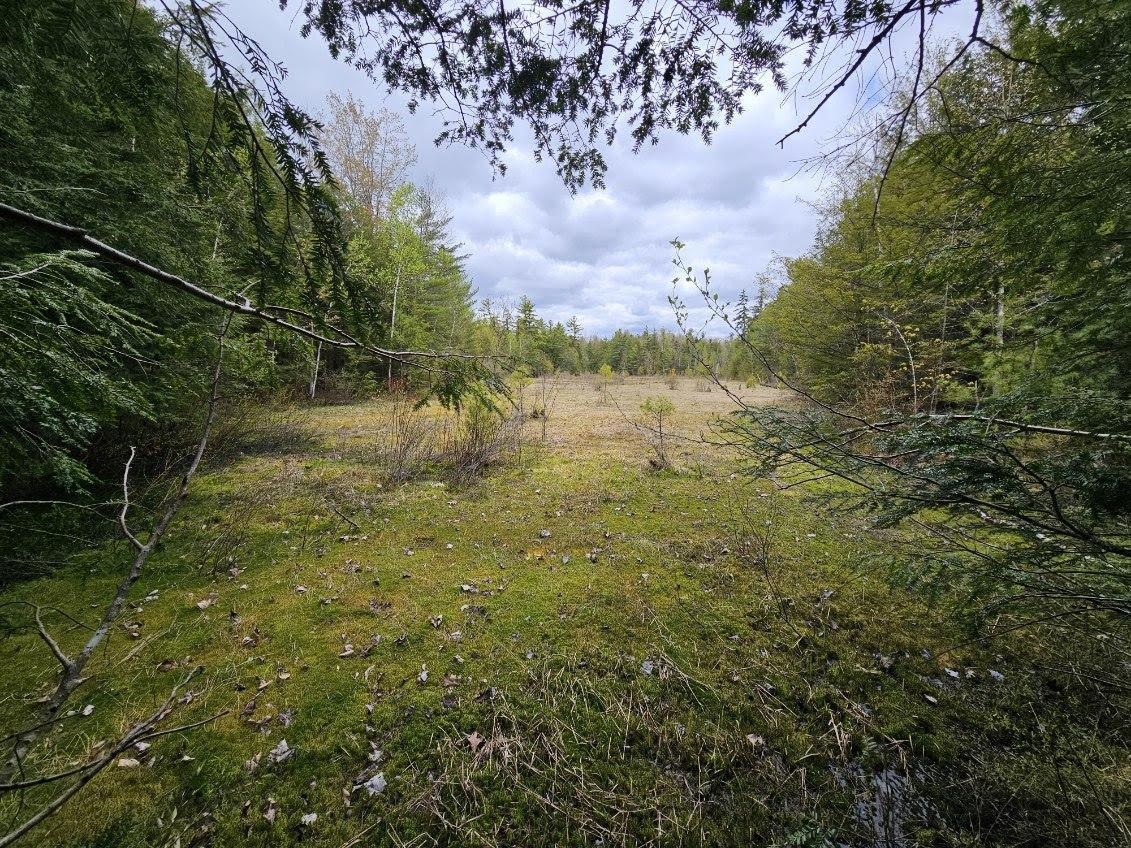 51-1 Fitch Reservoir Road