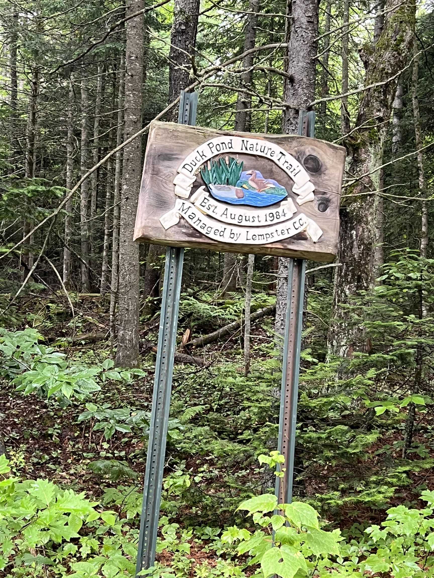 564 Mountain Road
