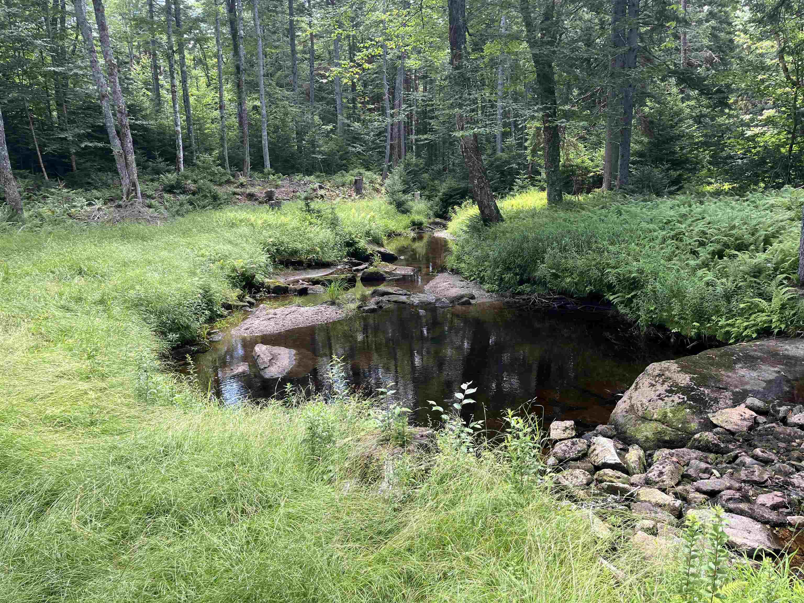 564 Mountain Road