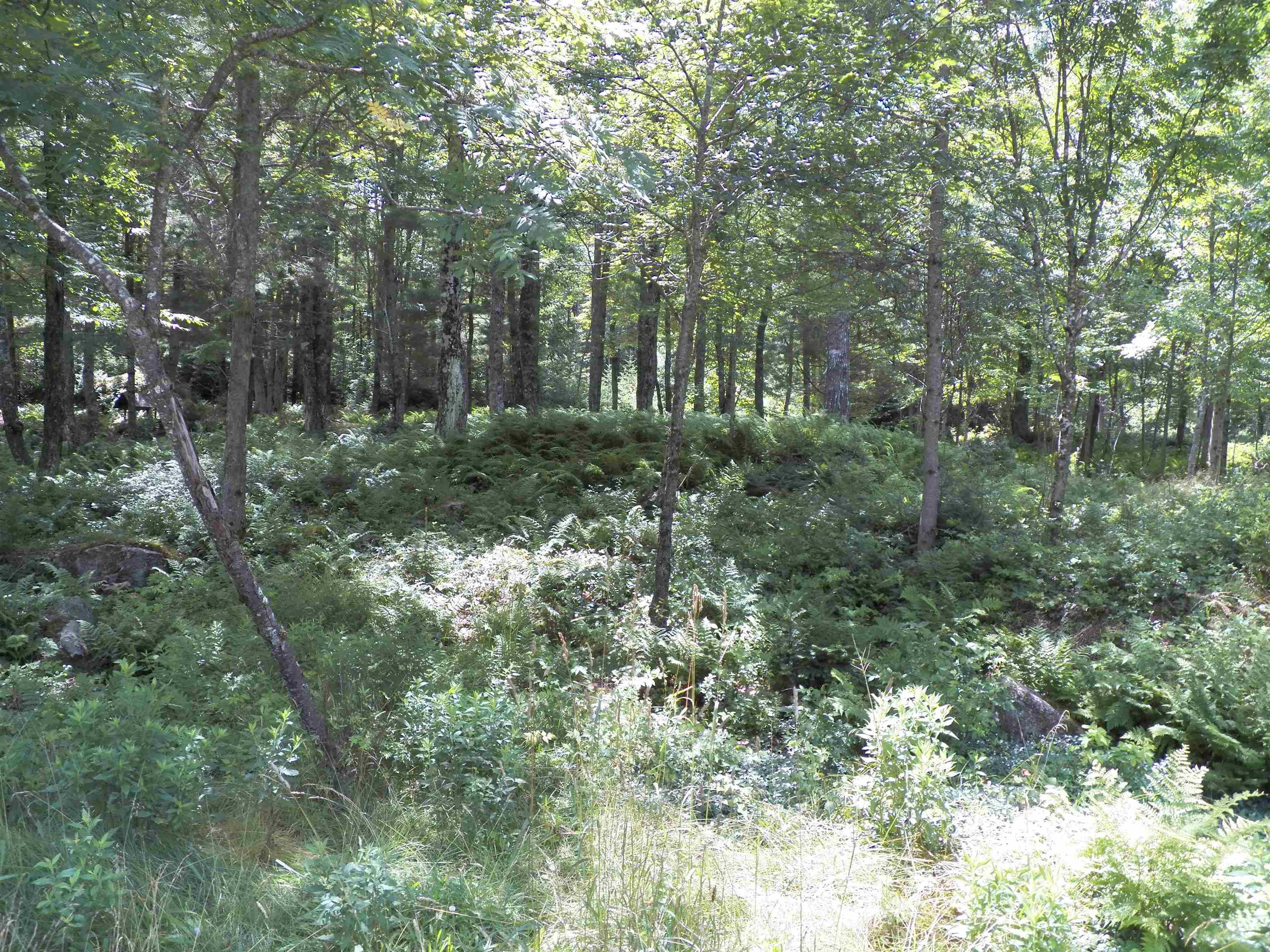 564 Mountain Road