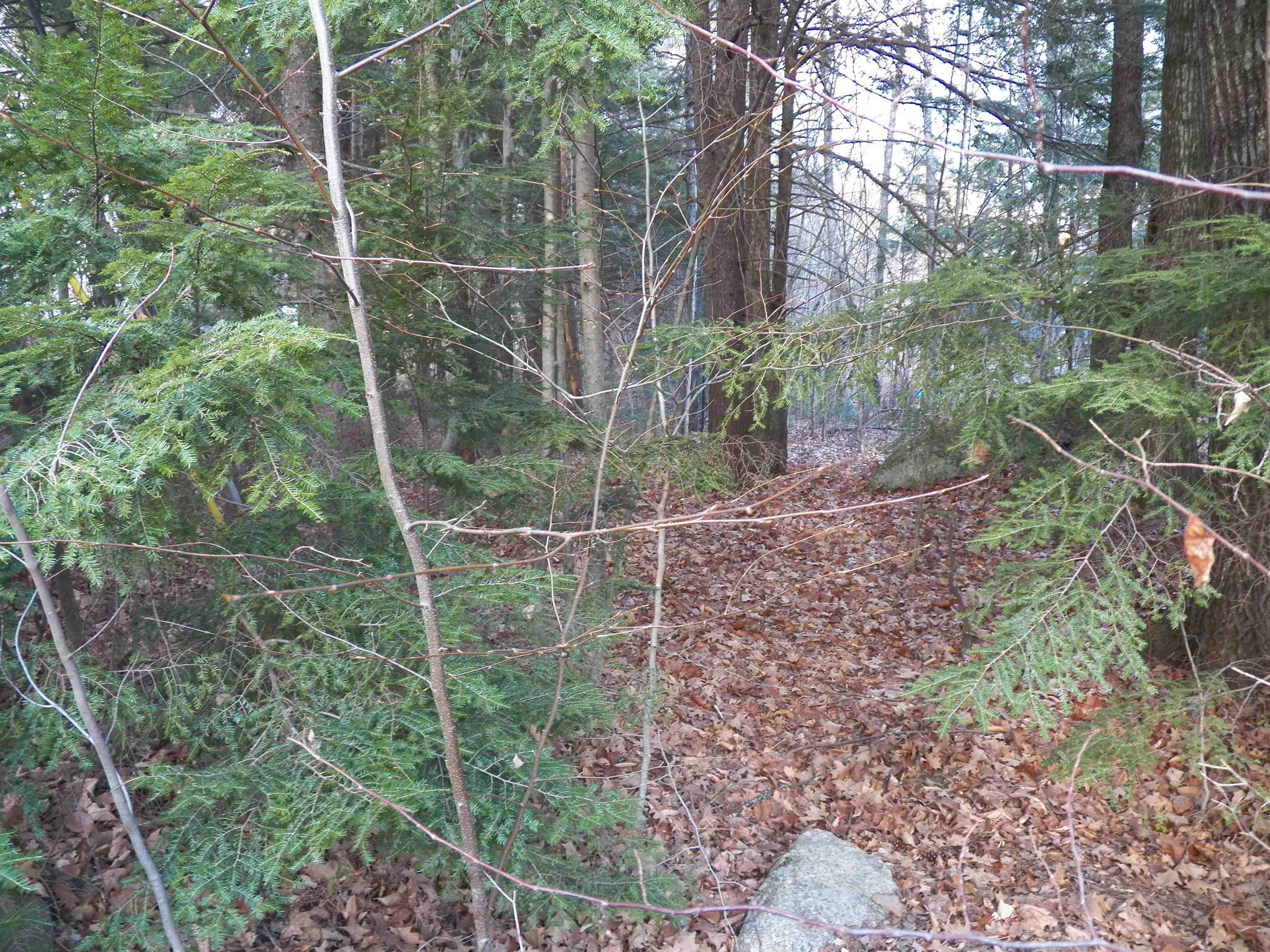 014-110 Deerpoint Drive