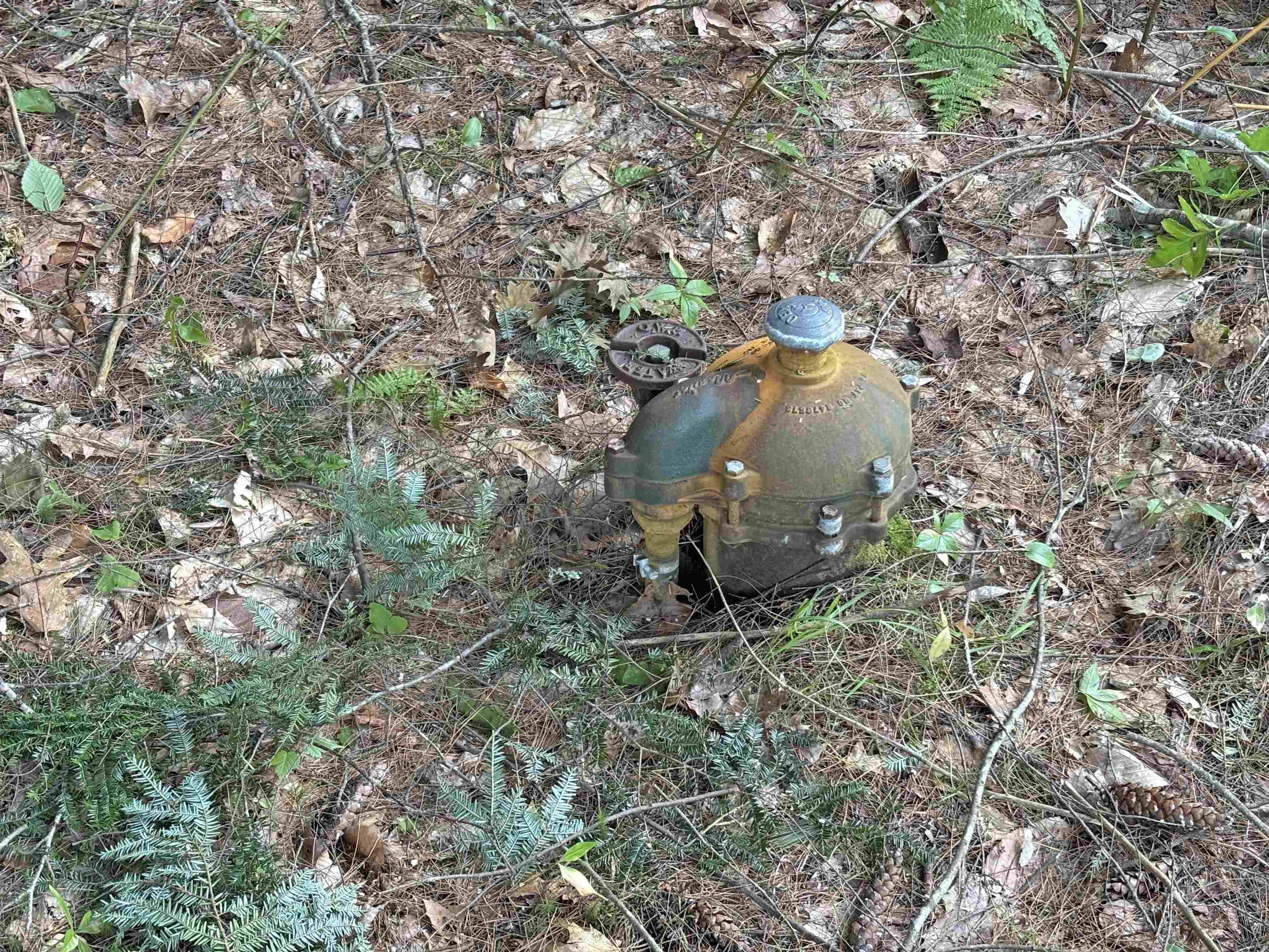 373 New Hampshire Route 175