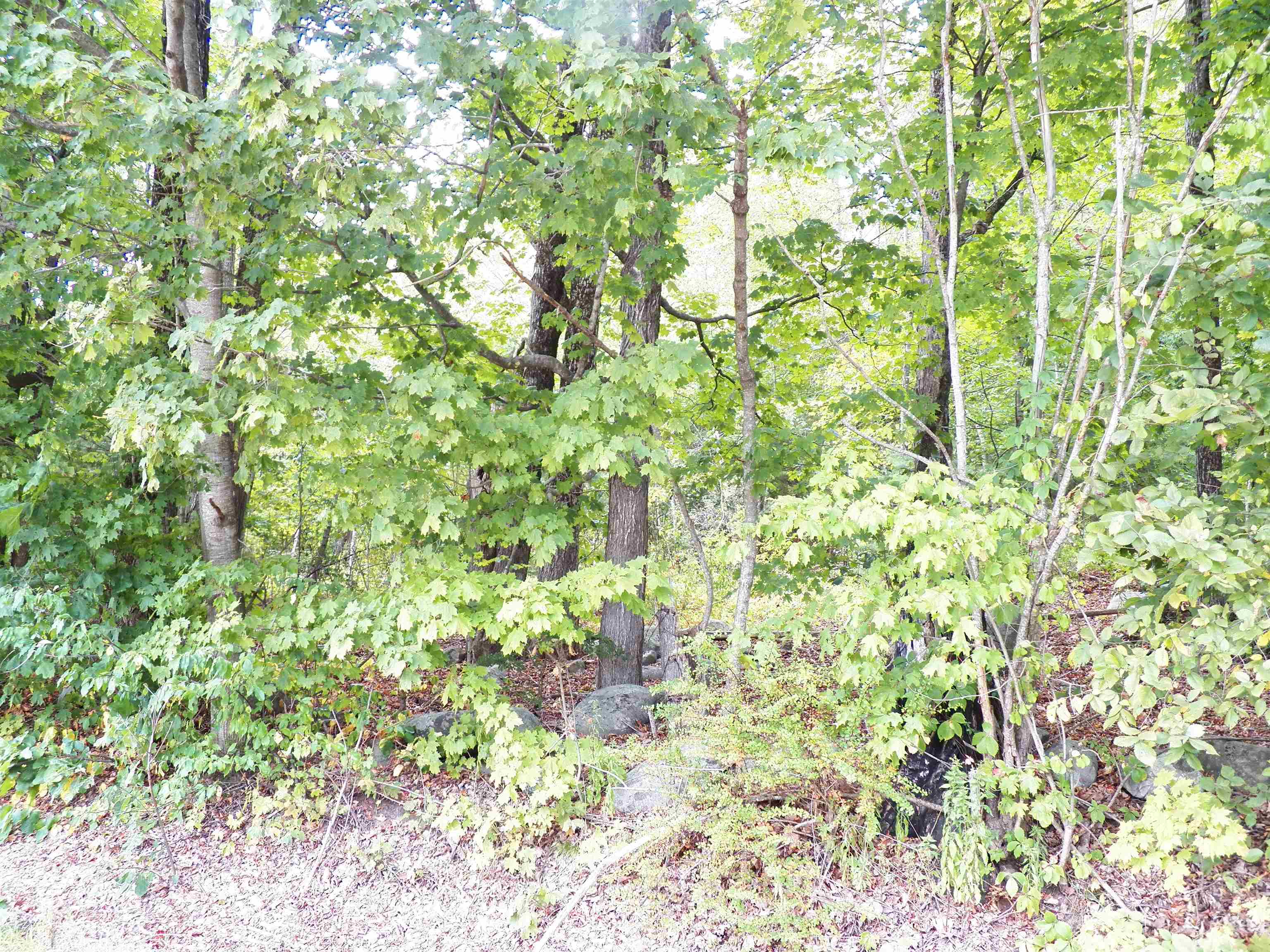 70 Thayer Road