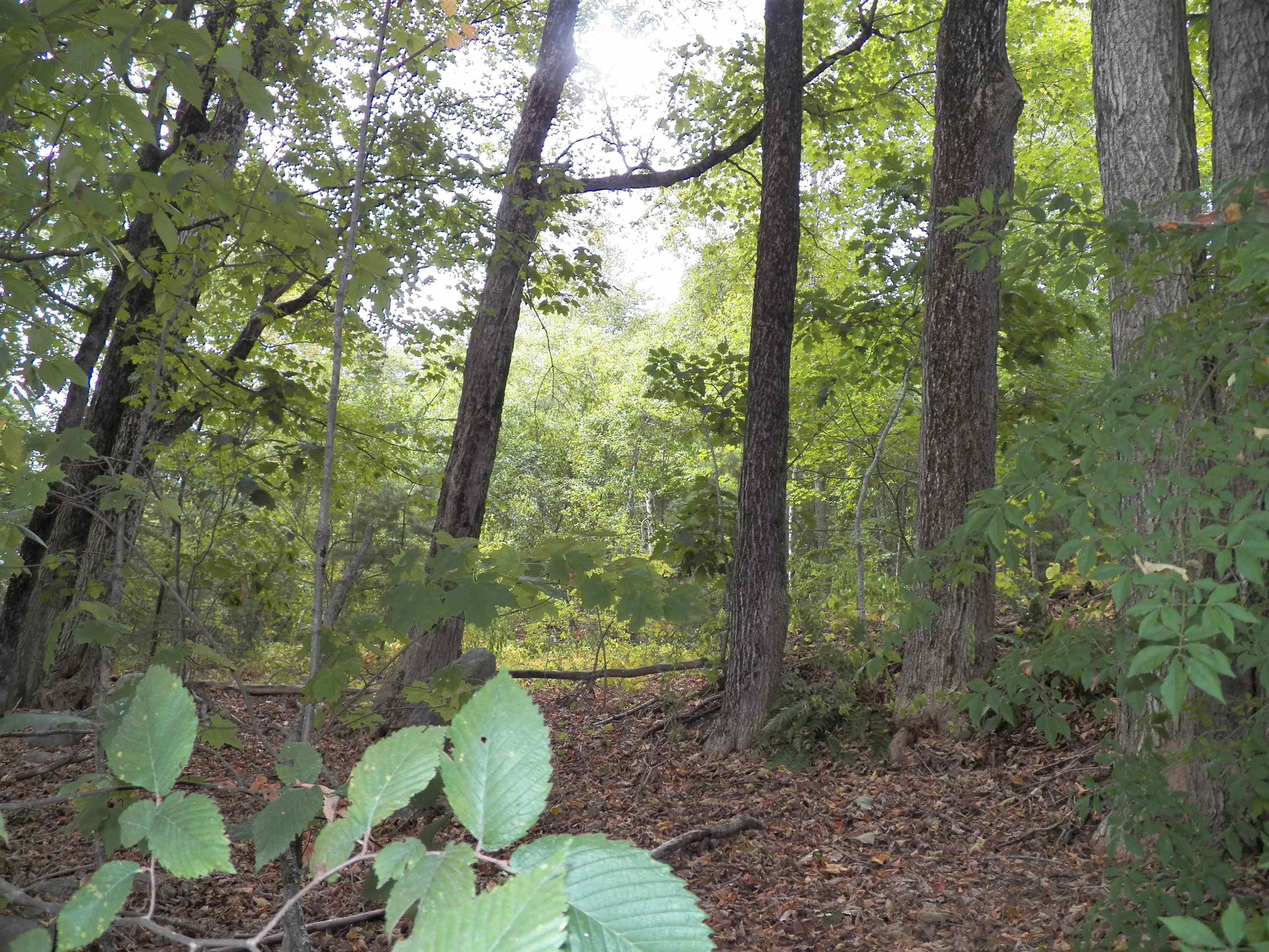 70 Thayer Road