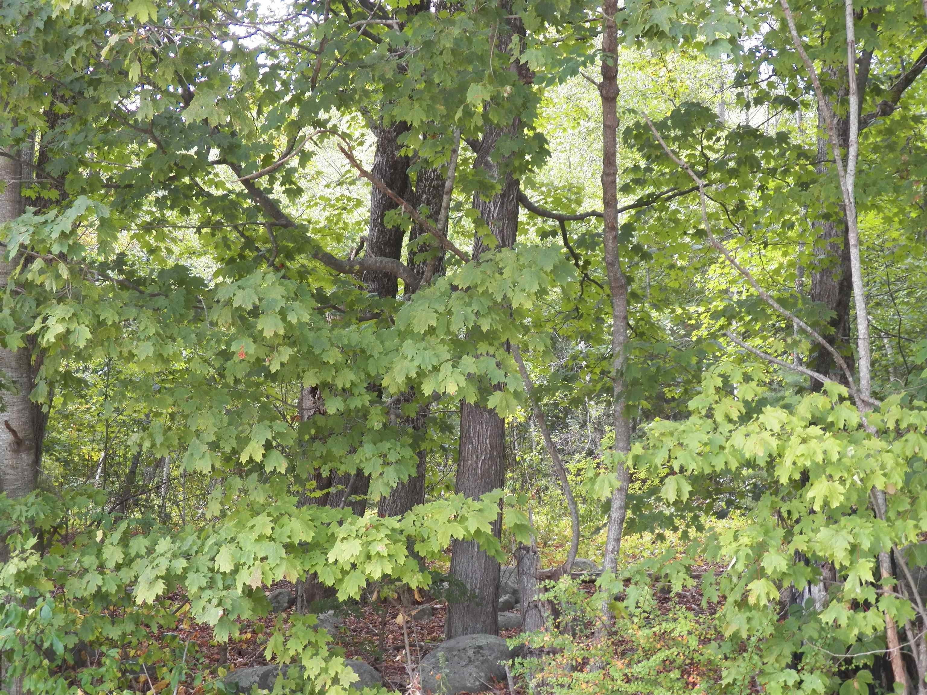 70 Thayer Road