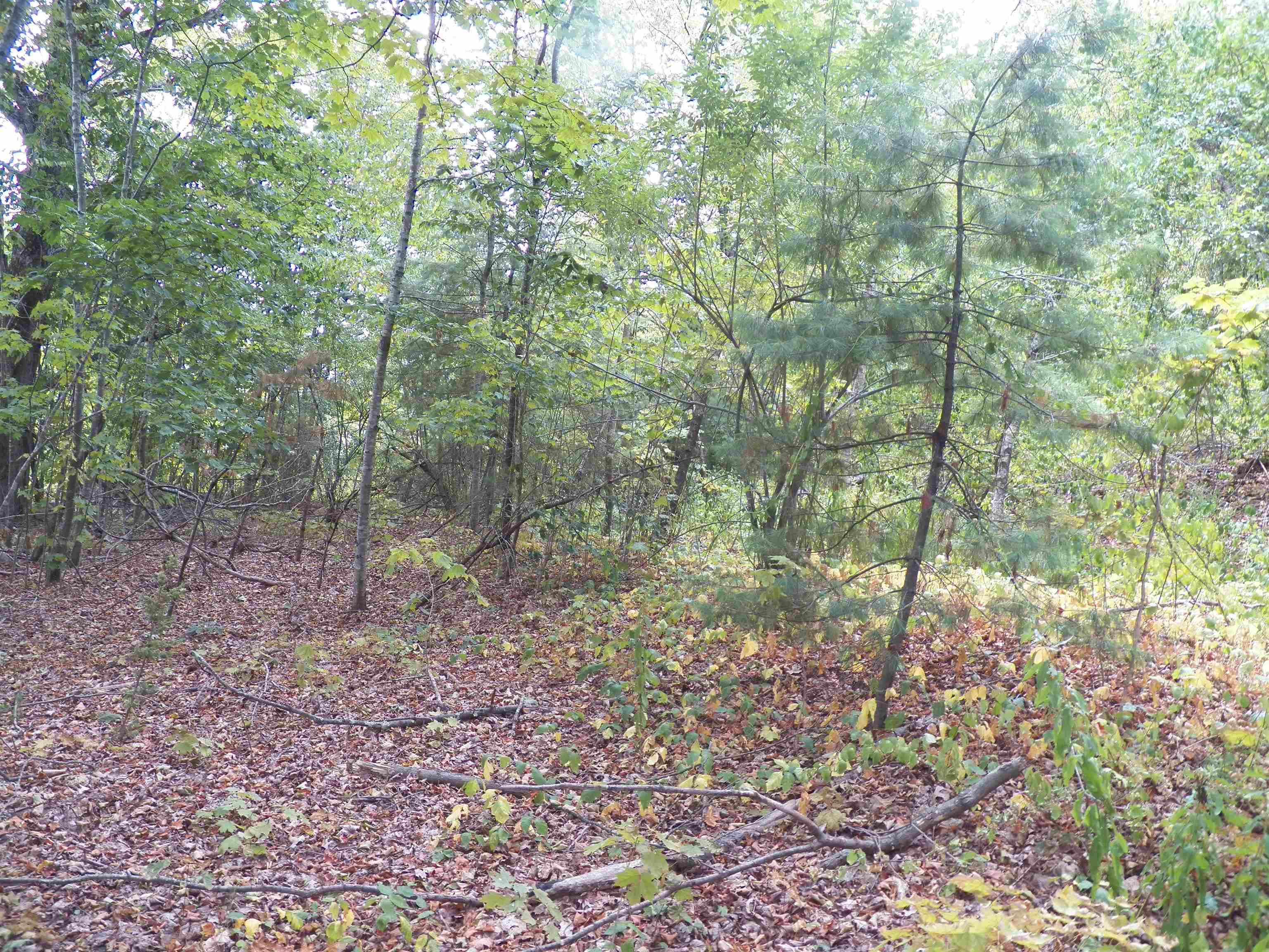 70 Thayer Road