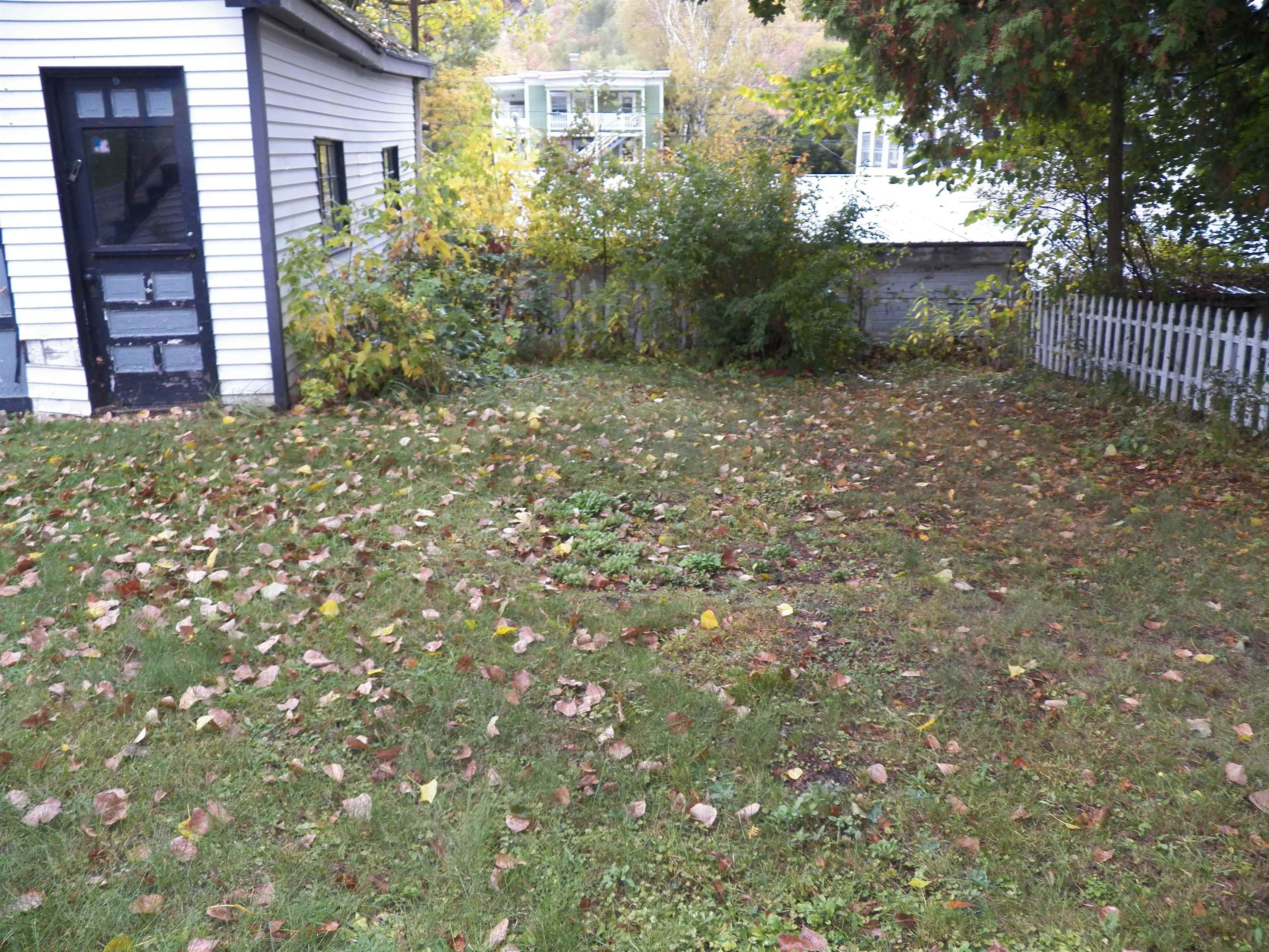 437 Willard Street