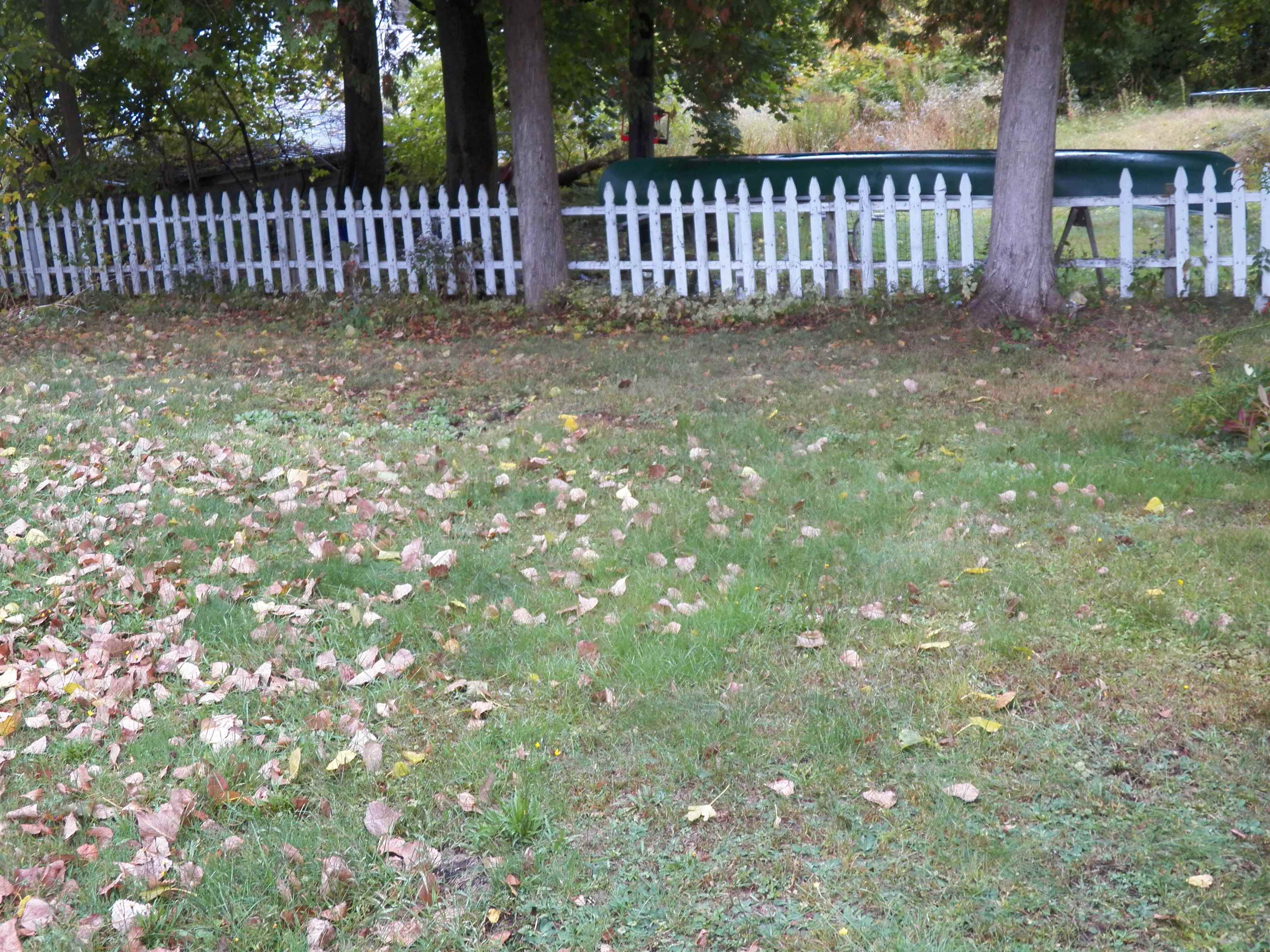 437 Willard Street