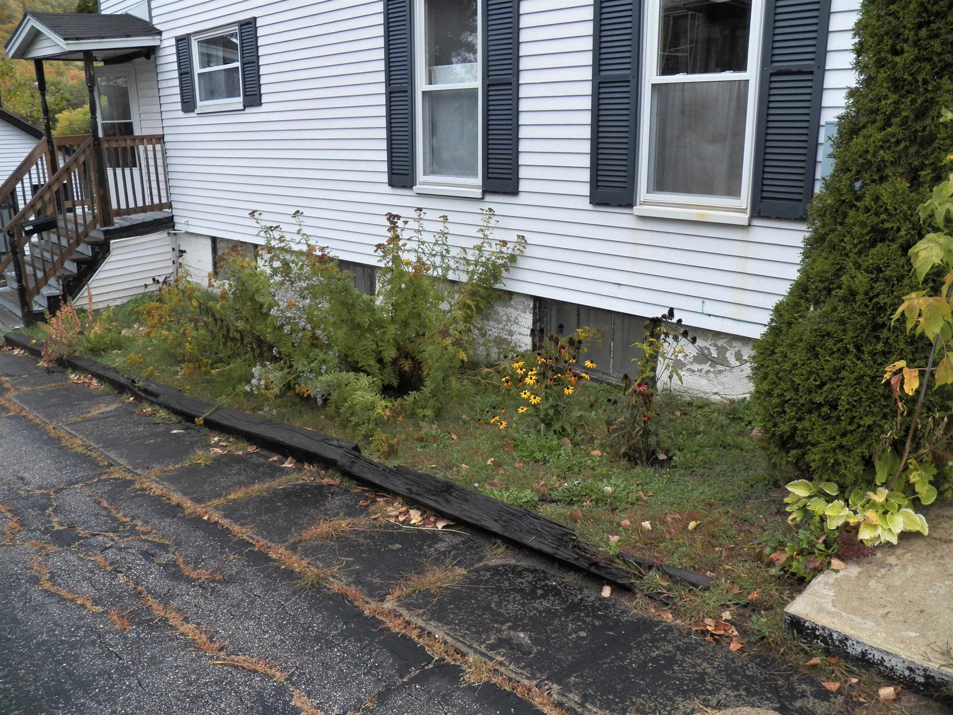 437 Willard Street