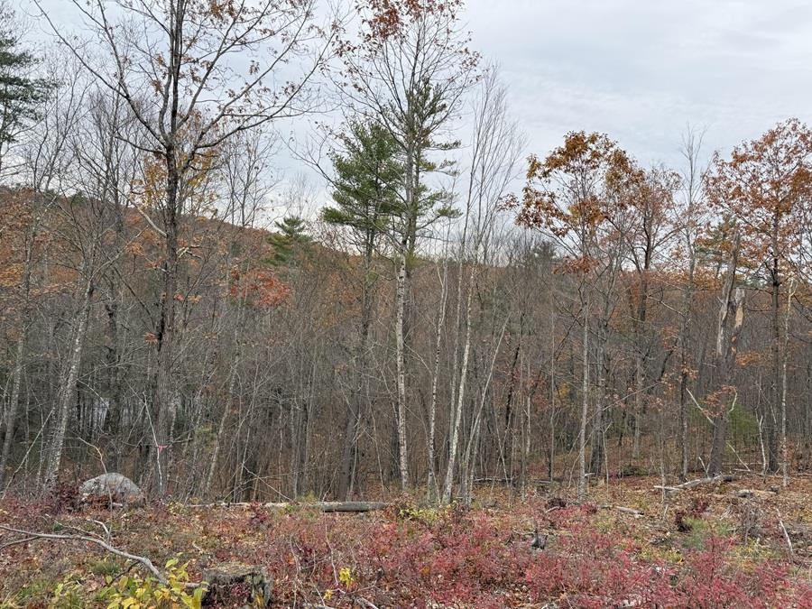 207-002 Washington Street