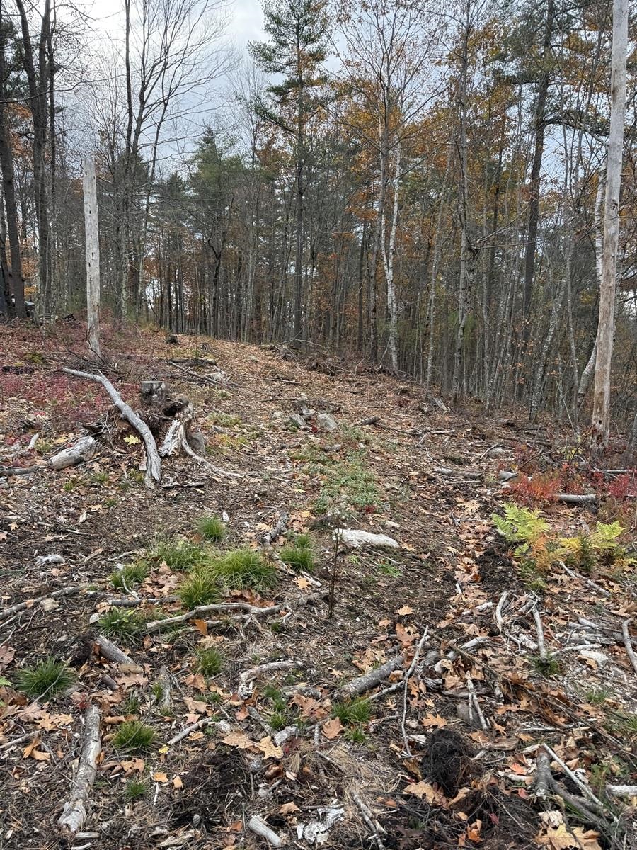 207-002 Washington Street