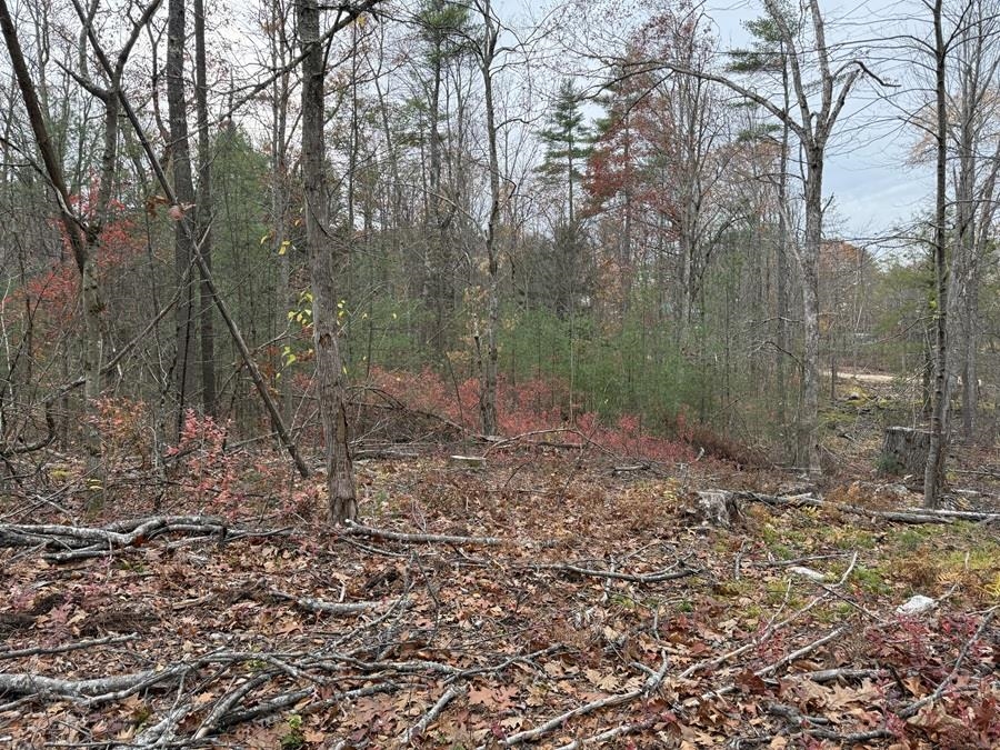 207-002 Washington Street