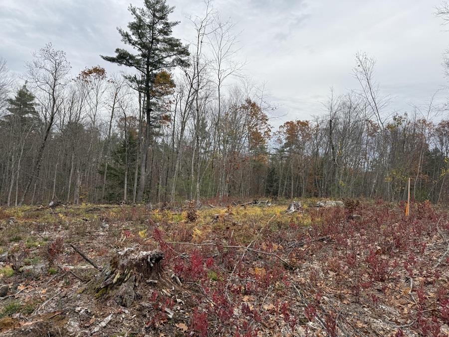 207-002 Washington Street