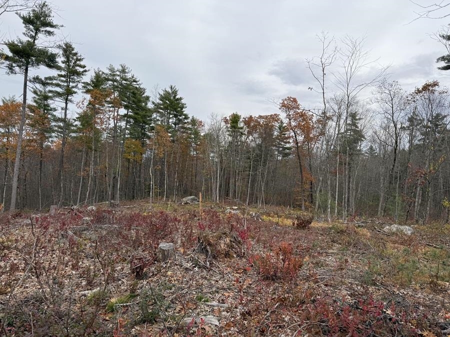 207-002 Washington Street