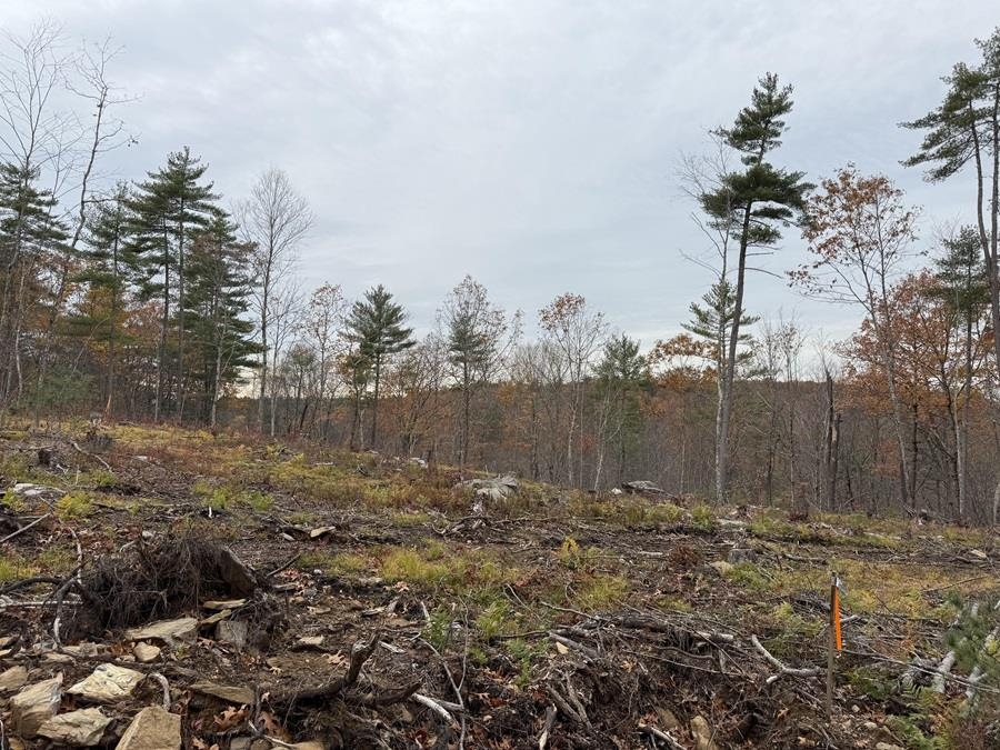 207-002 Washington Street