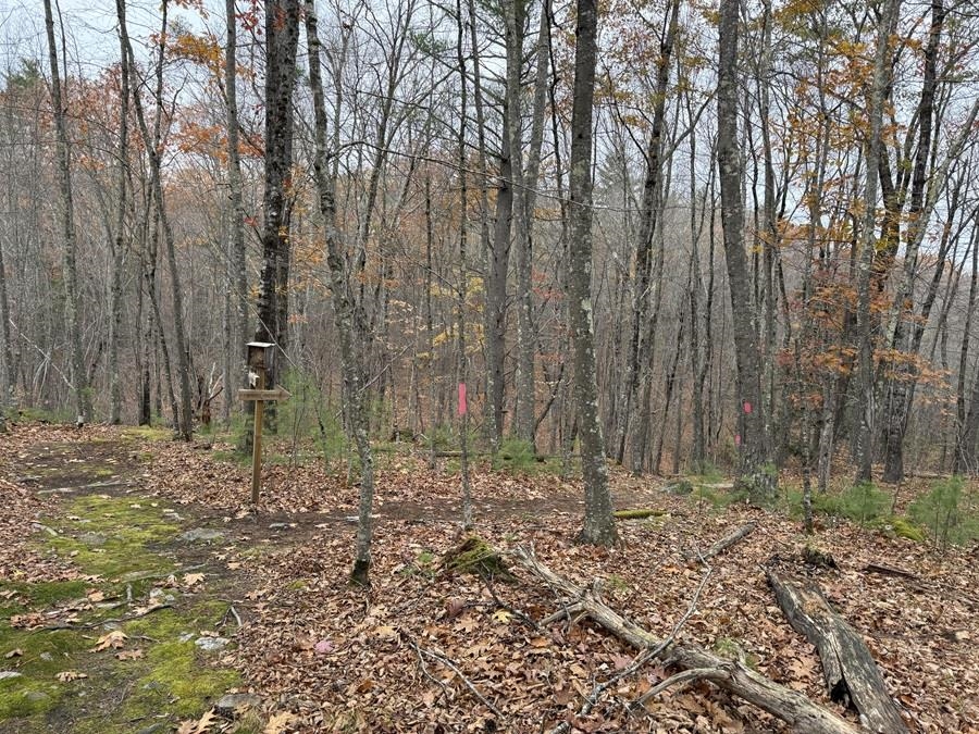 207-002 Washington Street