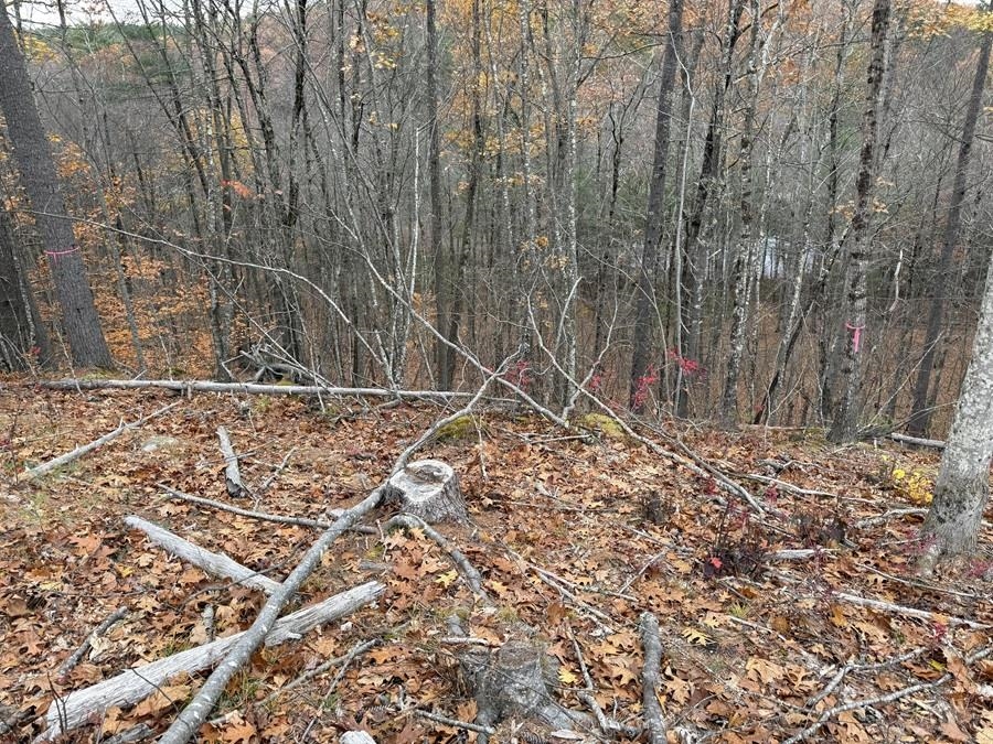 207-002 Washington Street