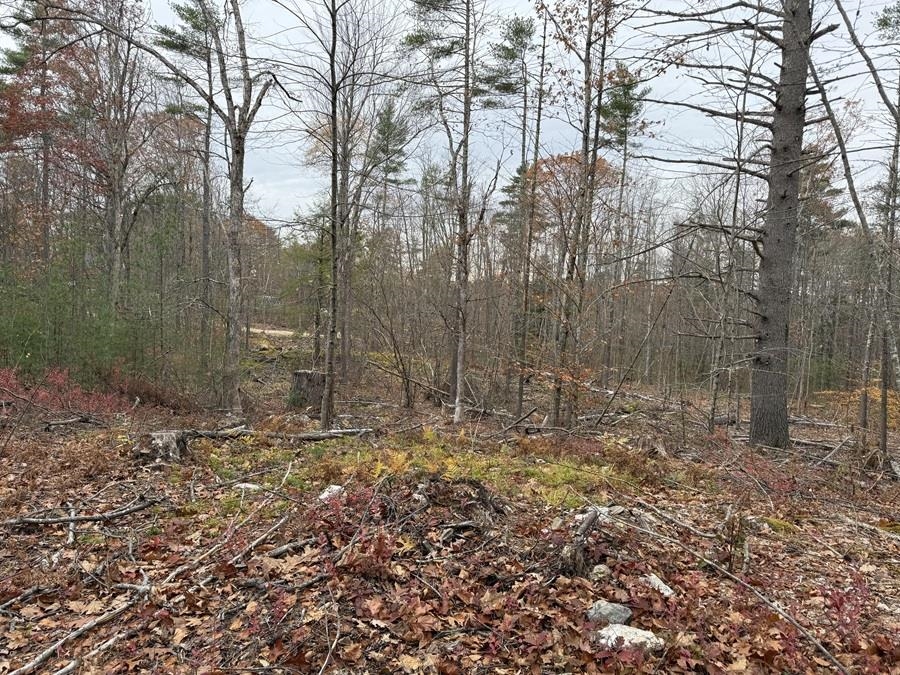 207-002 Washington Street