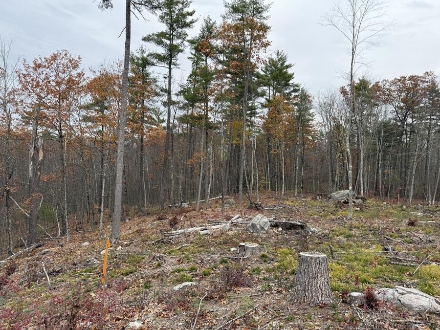 207-002 Washington Street