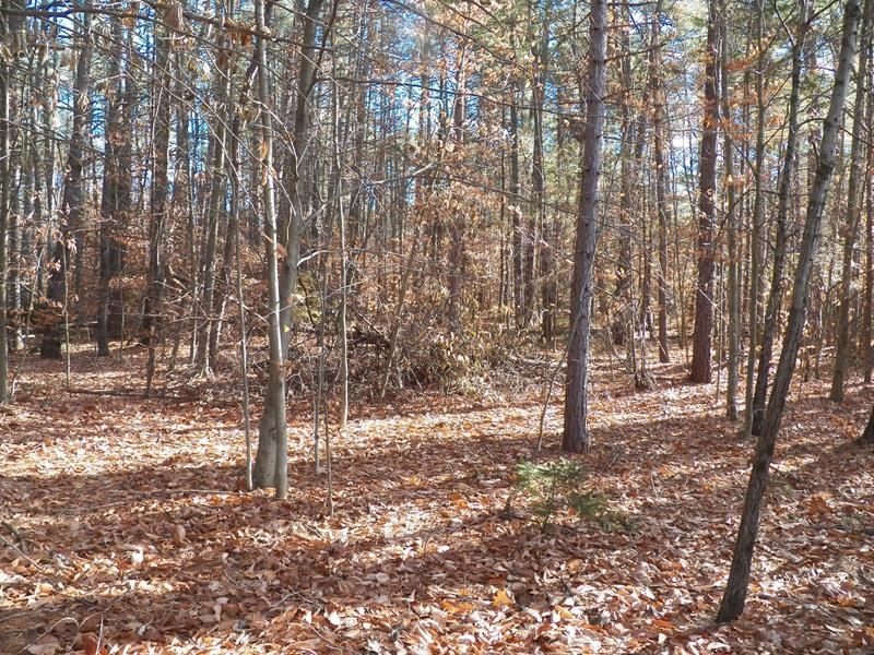 520 Green Mountain Road