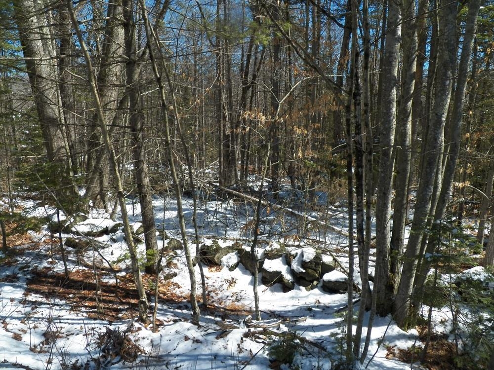 15-50 Faxon Hill Road