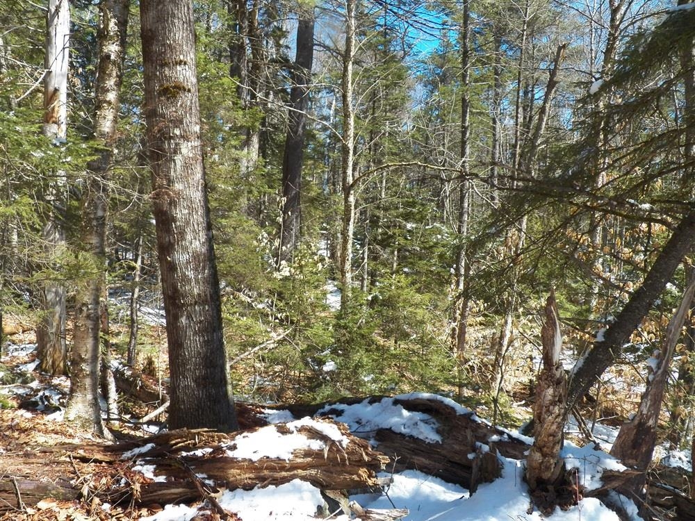 15-50 Faxon Hill Road