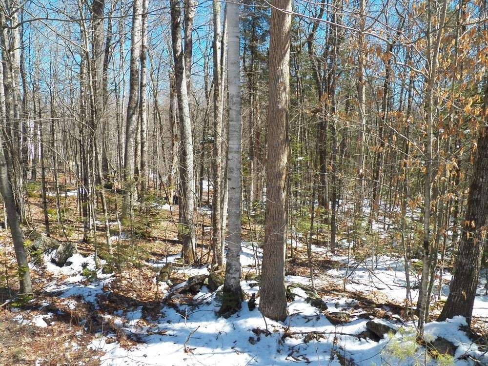 15-50 Faxon Hill Road