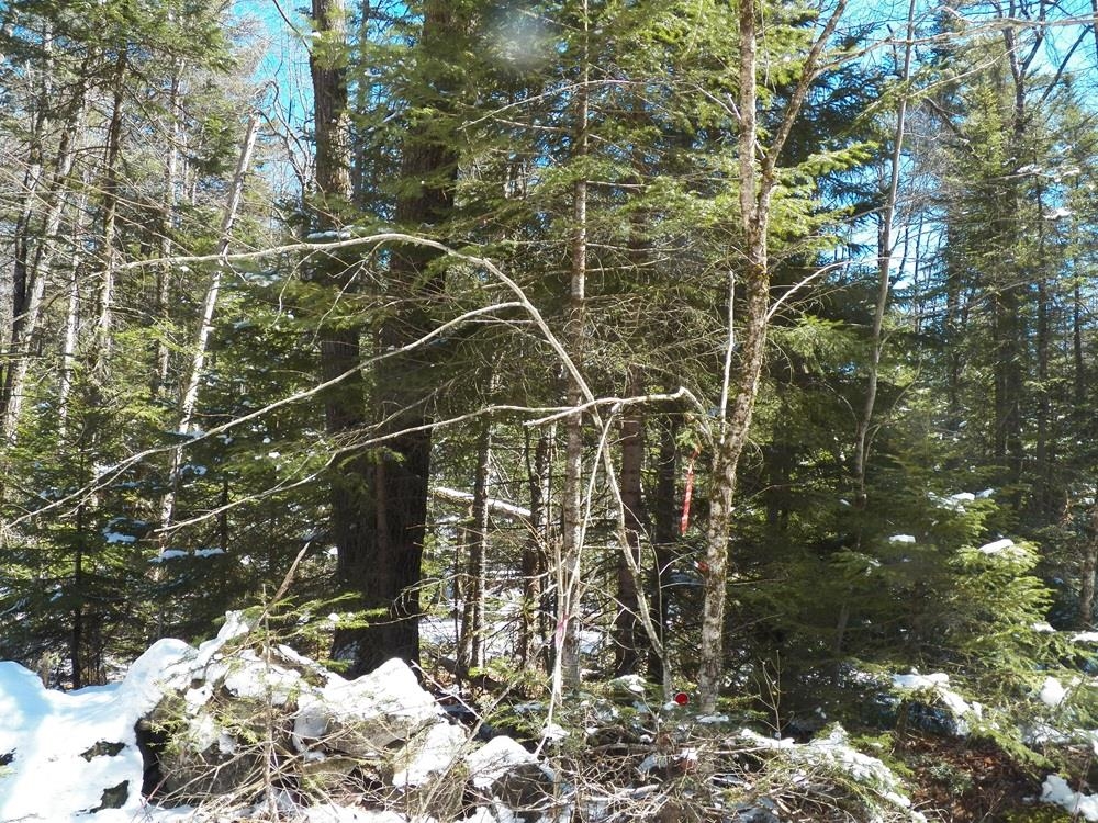 15-50 Faxon Hill Road