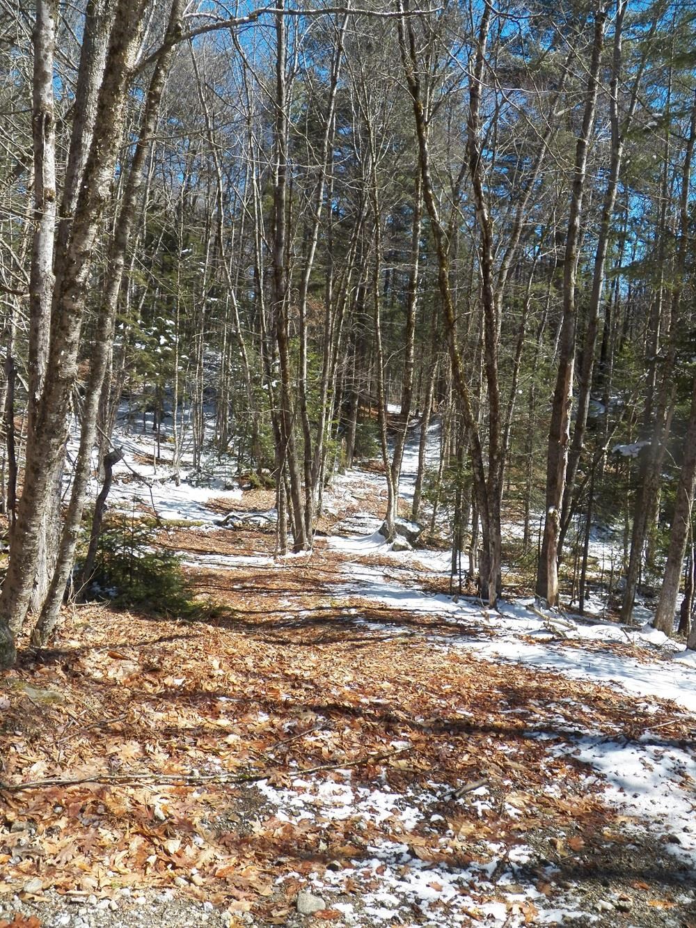 15-50 Faxon Hill Road