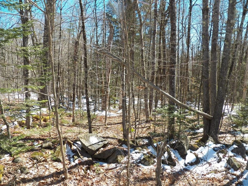 15-50 Faxon Hill Road