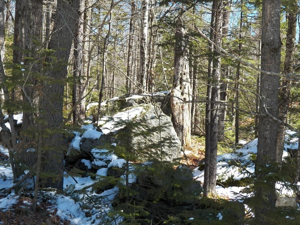 15-50 Faxon Hill Road