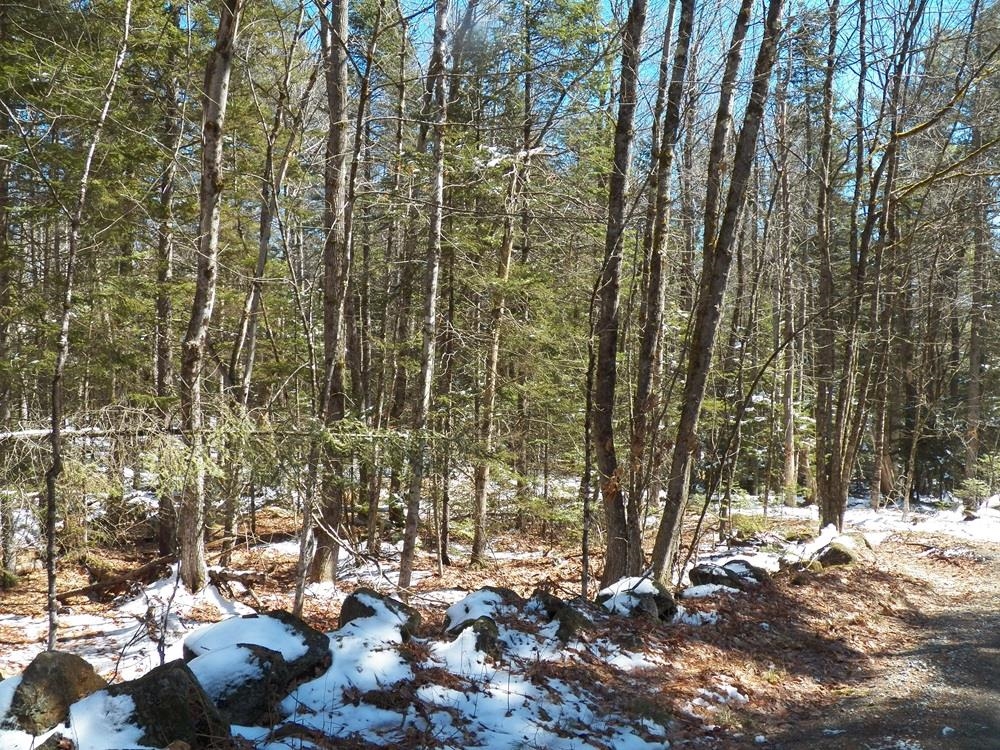 15-50 Faxon Hill Road